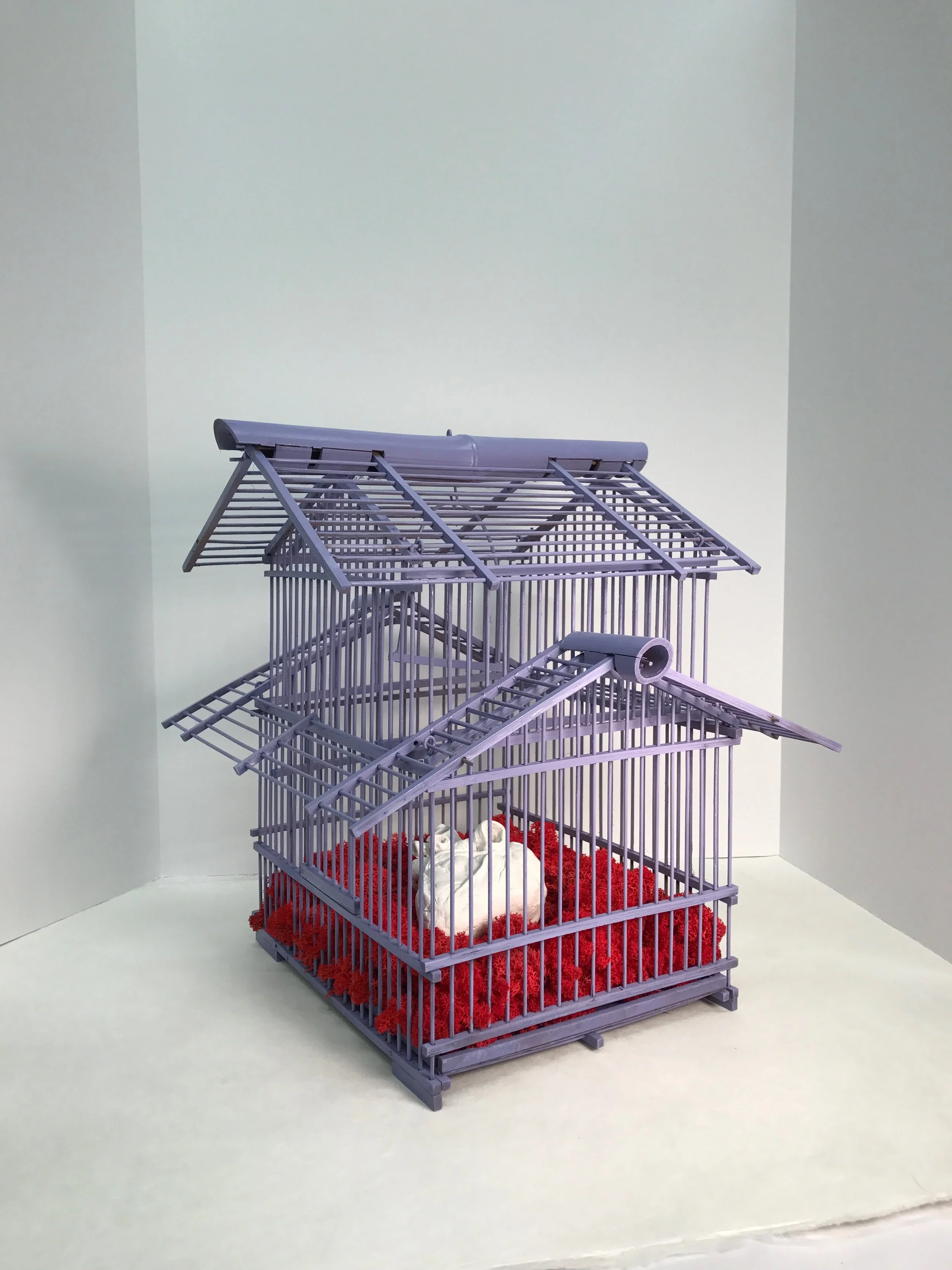Heart in Cage Shed
