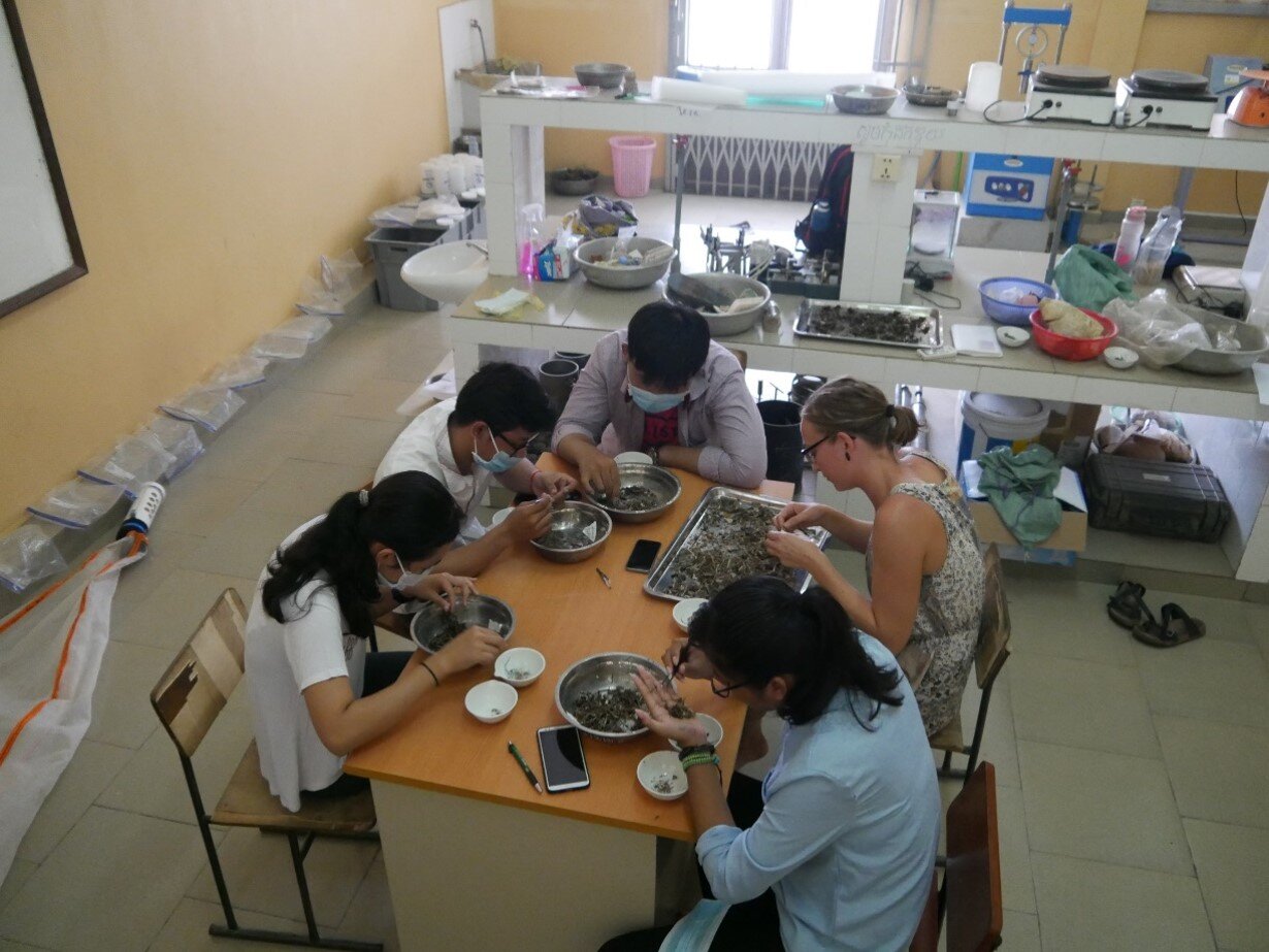 Sorting samples in the ITC laboratory