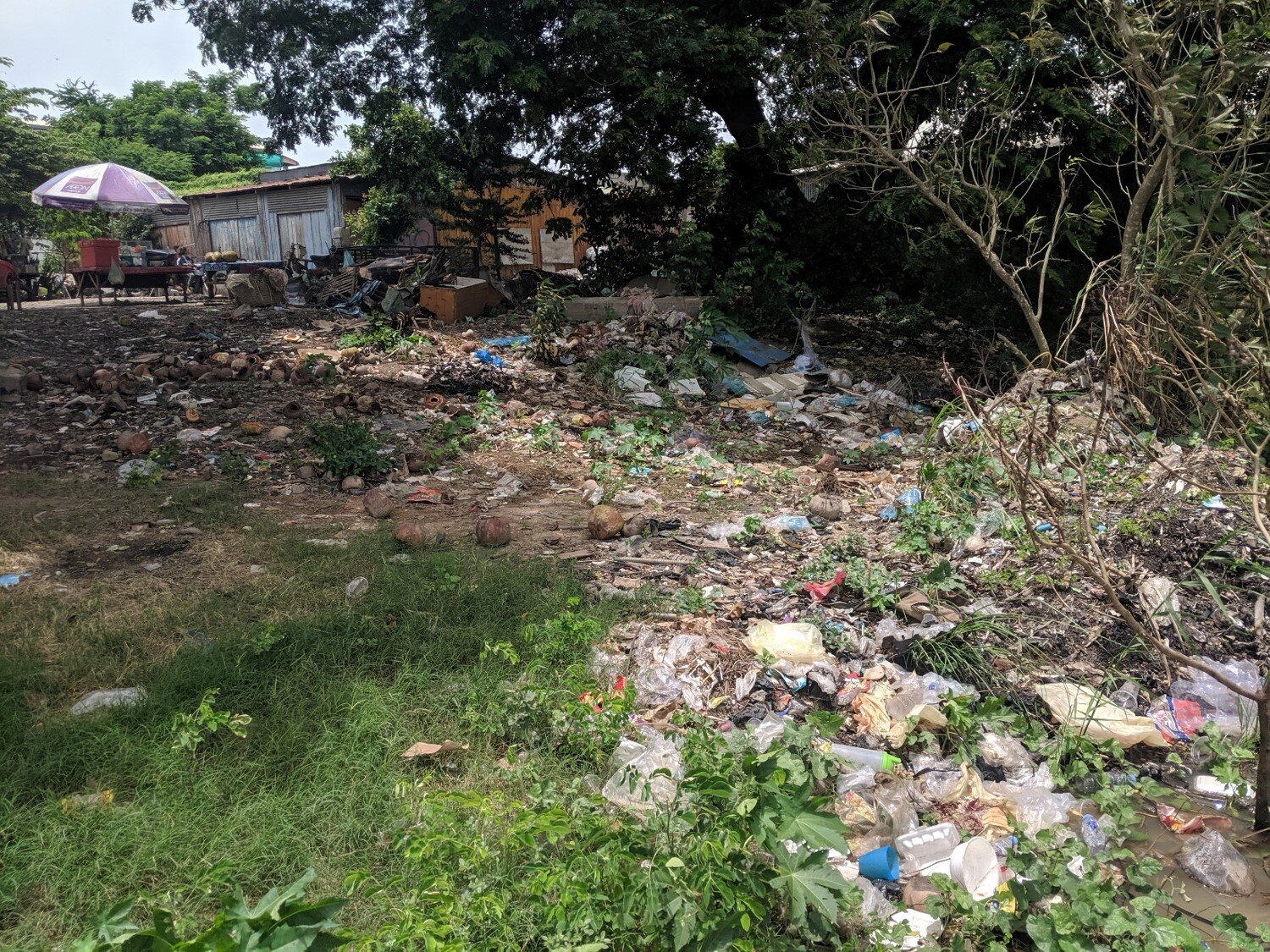 Typical garbage accumulation along the shore lines