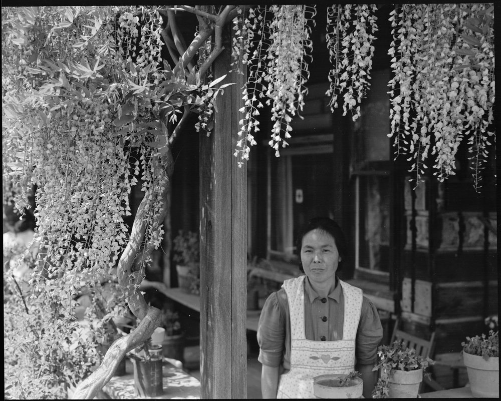  Mountain View, California. Mother of six children born in this country. Before evacuation, the family operated a 20-acre farm in Santa Clara County, raising berries, broccoli, peas, and garlic. Evacuees of Japanese ancestry will be housed in War Rel