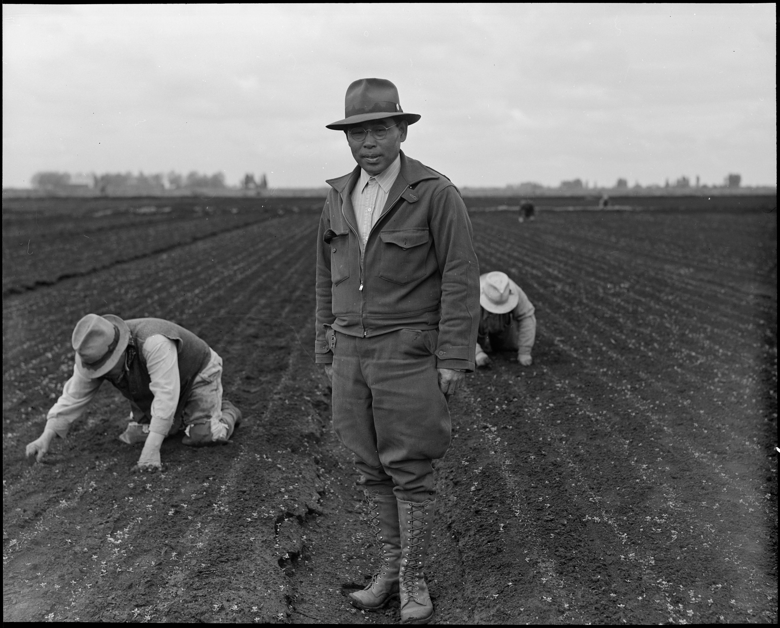  Stockton, California. Weeding celery field in the Delta region, prior to evacuation. Henry Futamachi, ranch manager, in foreground. Farmers and other evacuees of Japanese ancestry will be given opportunities to follow their callings in War Relocatio