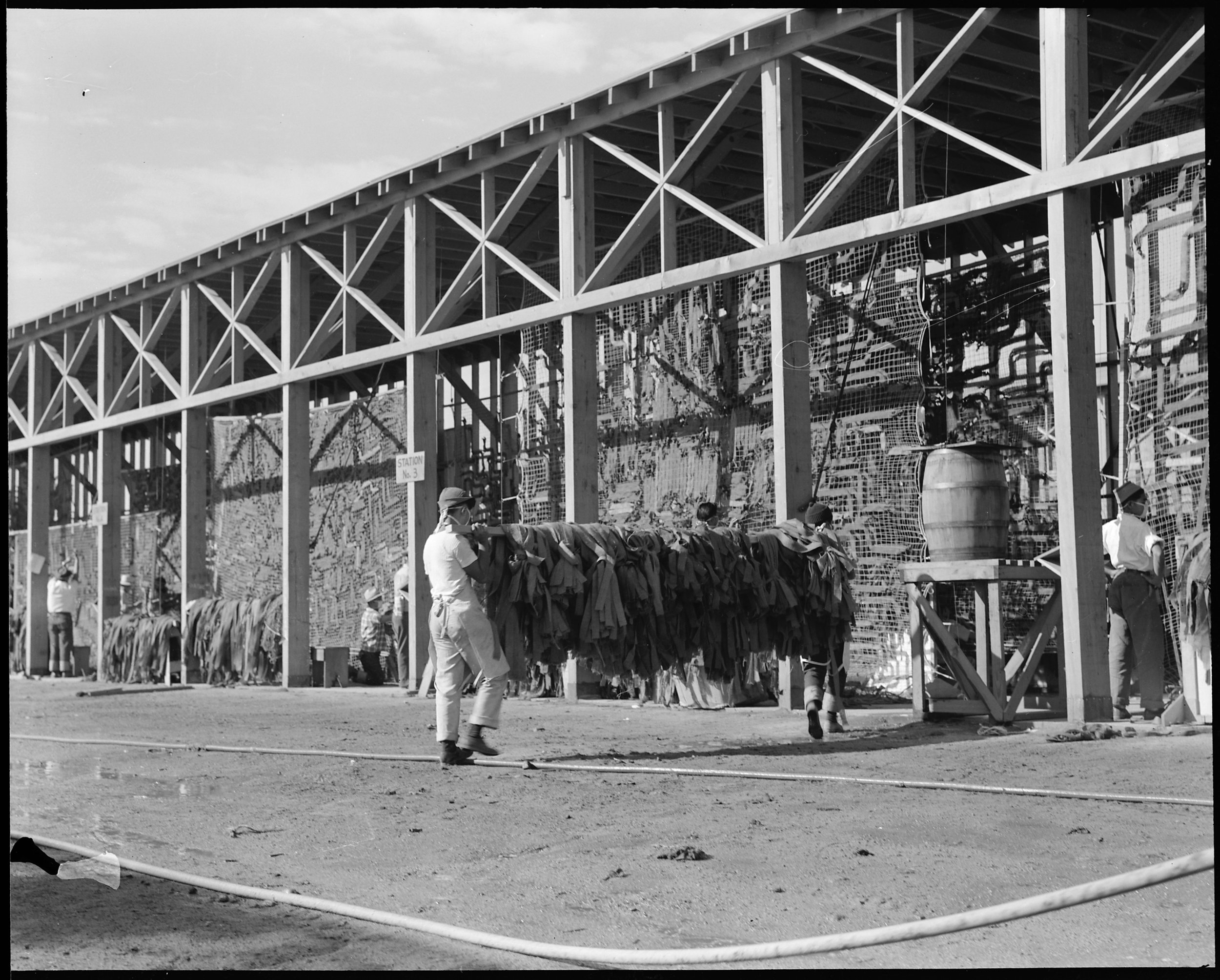 Manzanar Relocation Center, Manzanar, California. Making camouflage nets for the War Department. T . . .