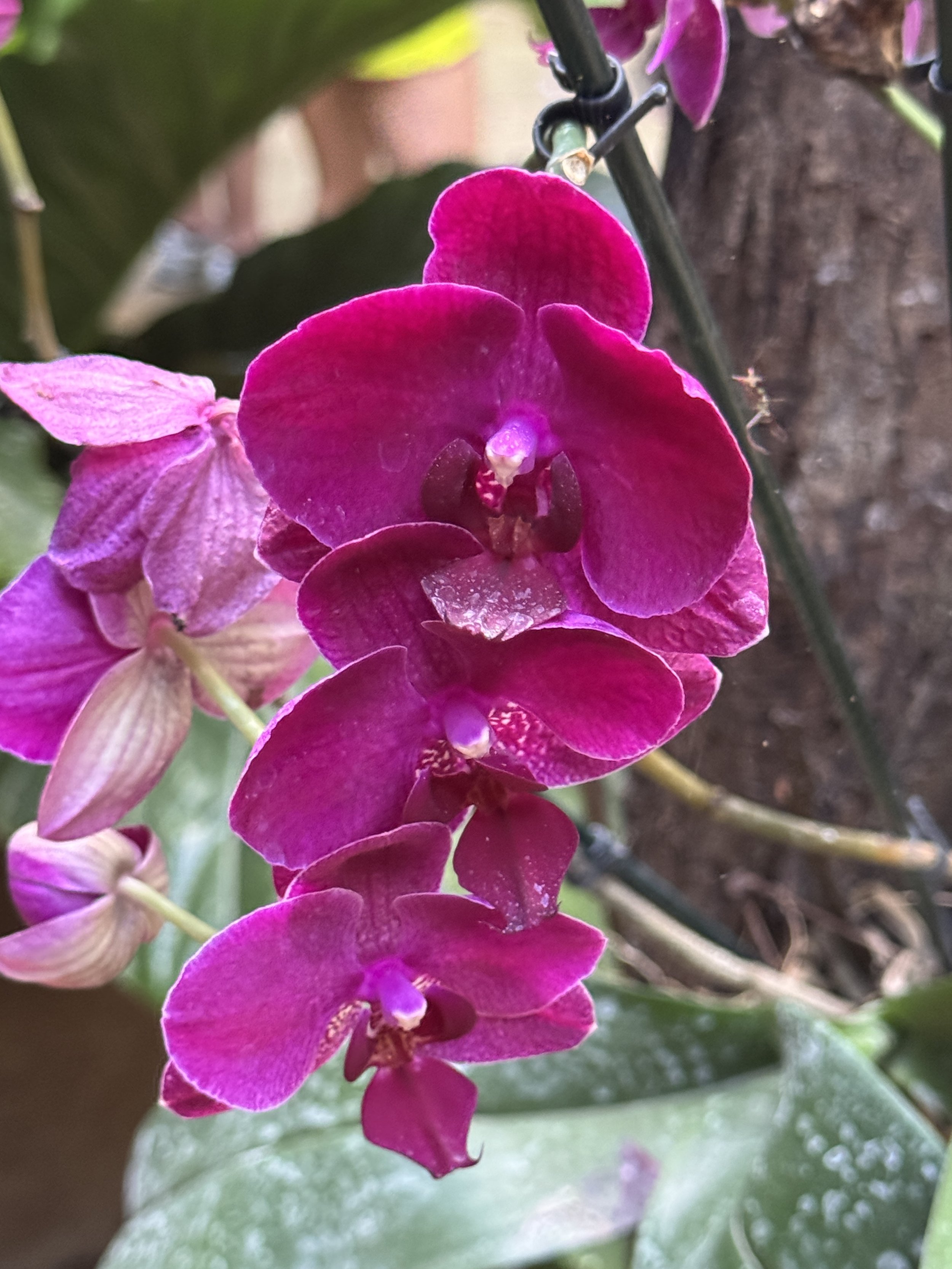 IMG_8110.jpeg