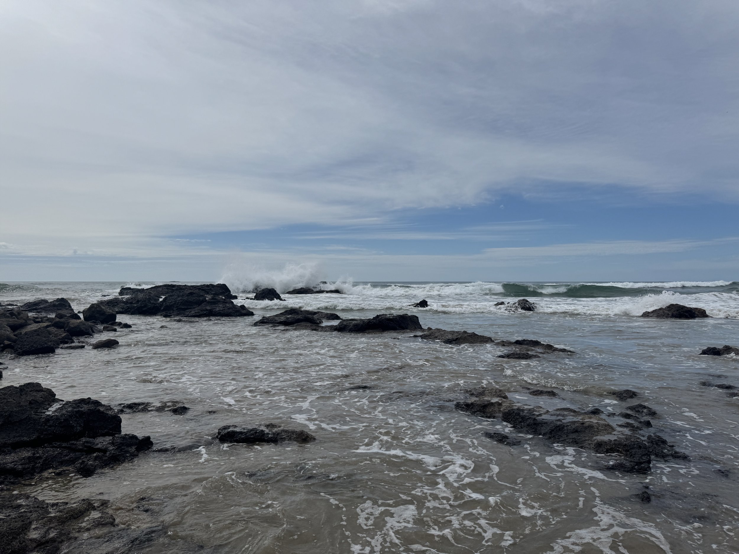 IMG_7629.jpeg
