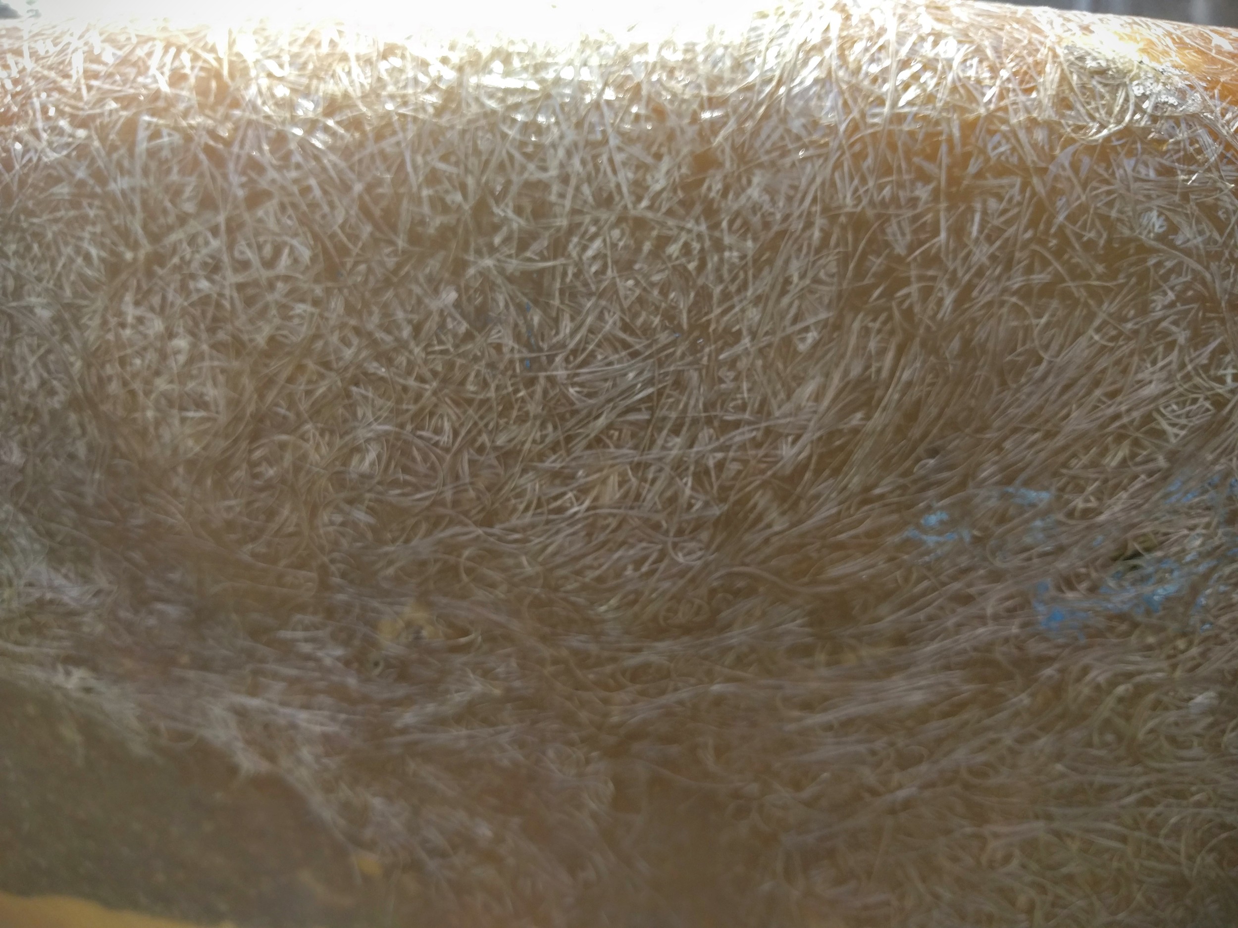 twig.jpg