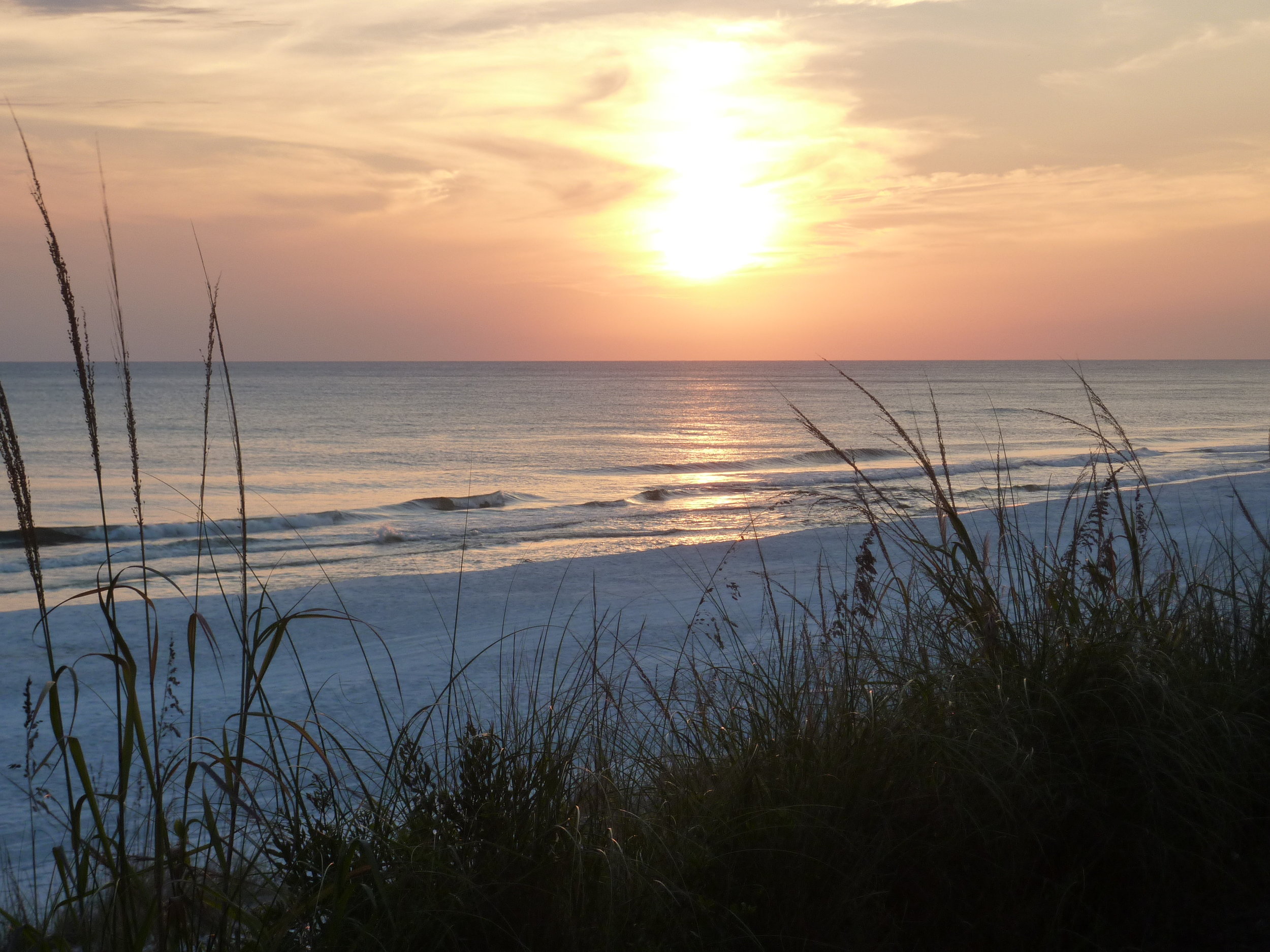 gulf-coast-3-022.jpg