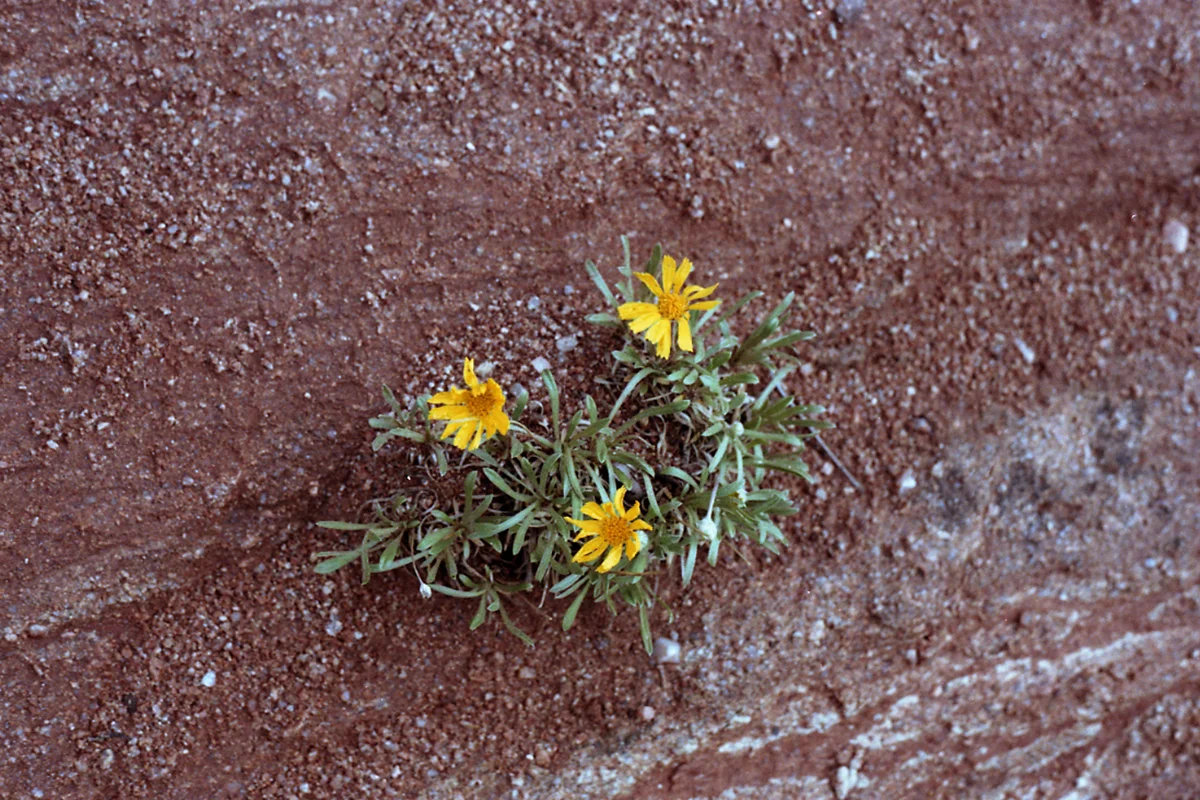 35M02095.jpg