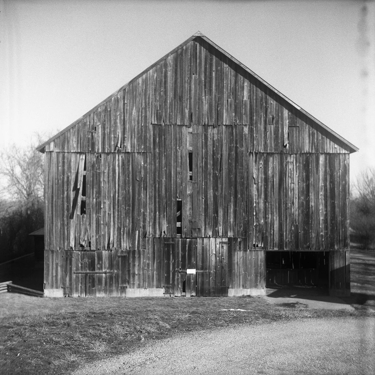 MF00557.jpg