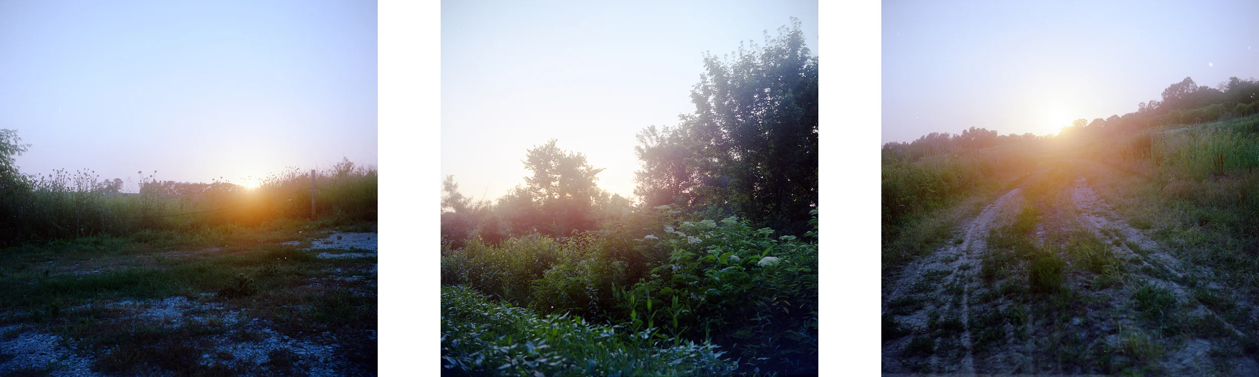 MF00675three.jpg
