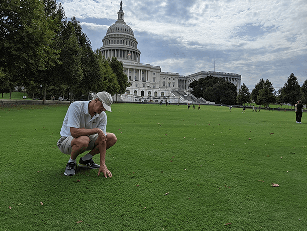Tahoma-31-in-DC.webp