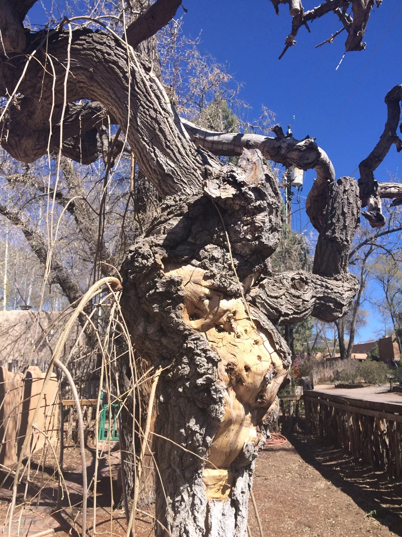 Gustave Baumann House — Historic Santa Fe Foundation