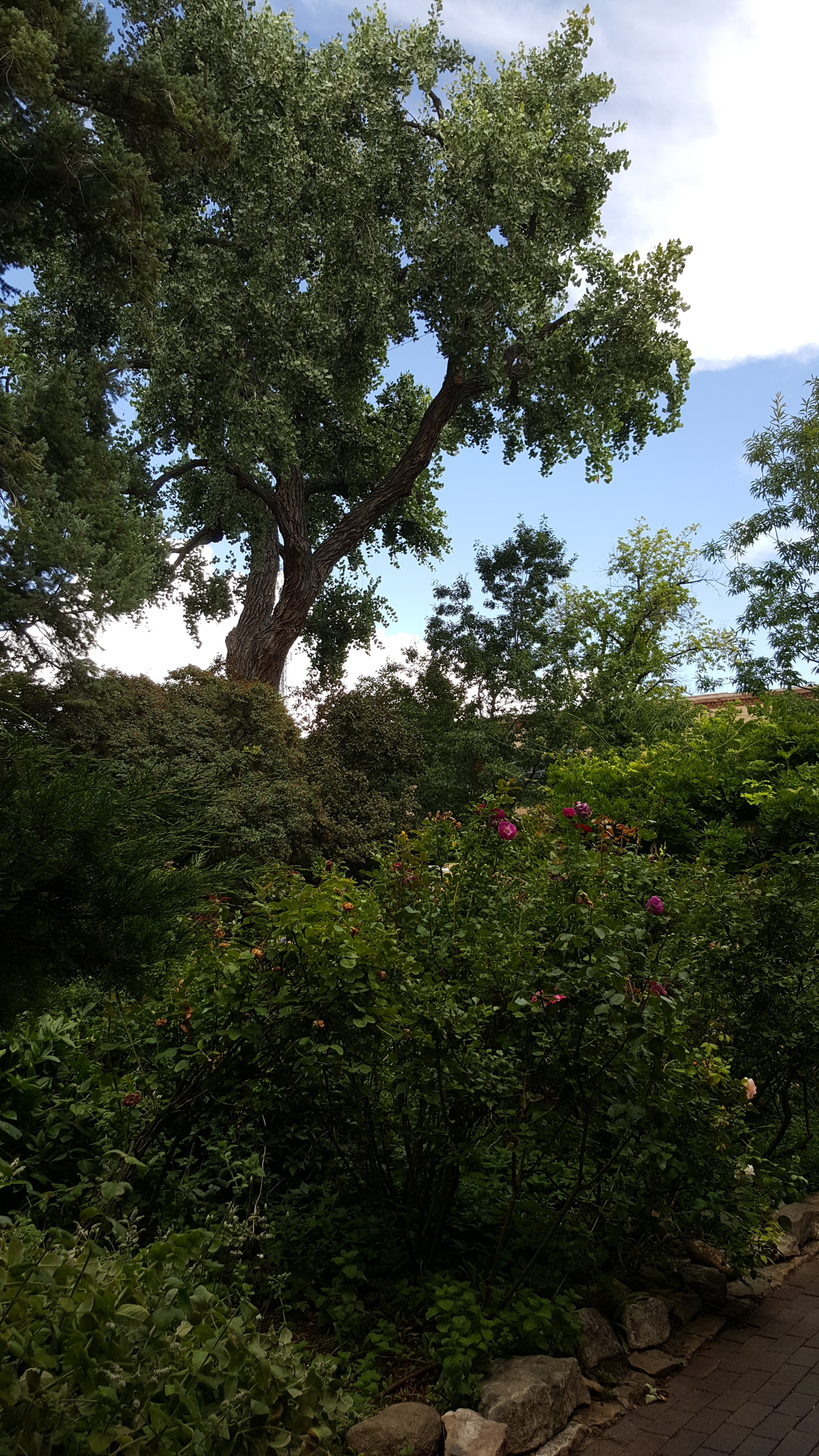 20160815_160621.jpg