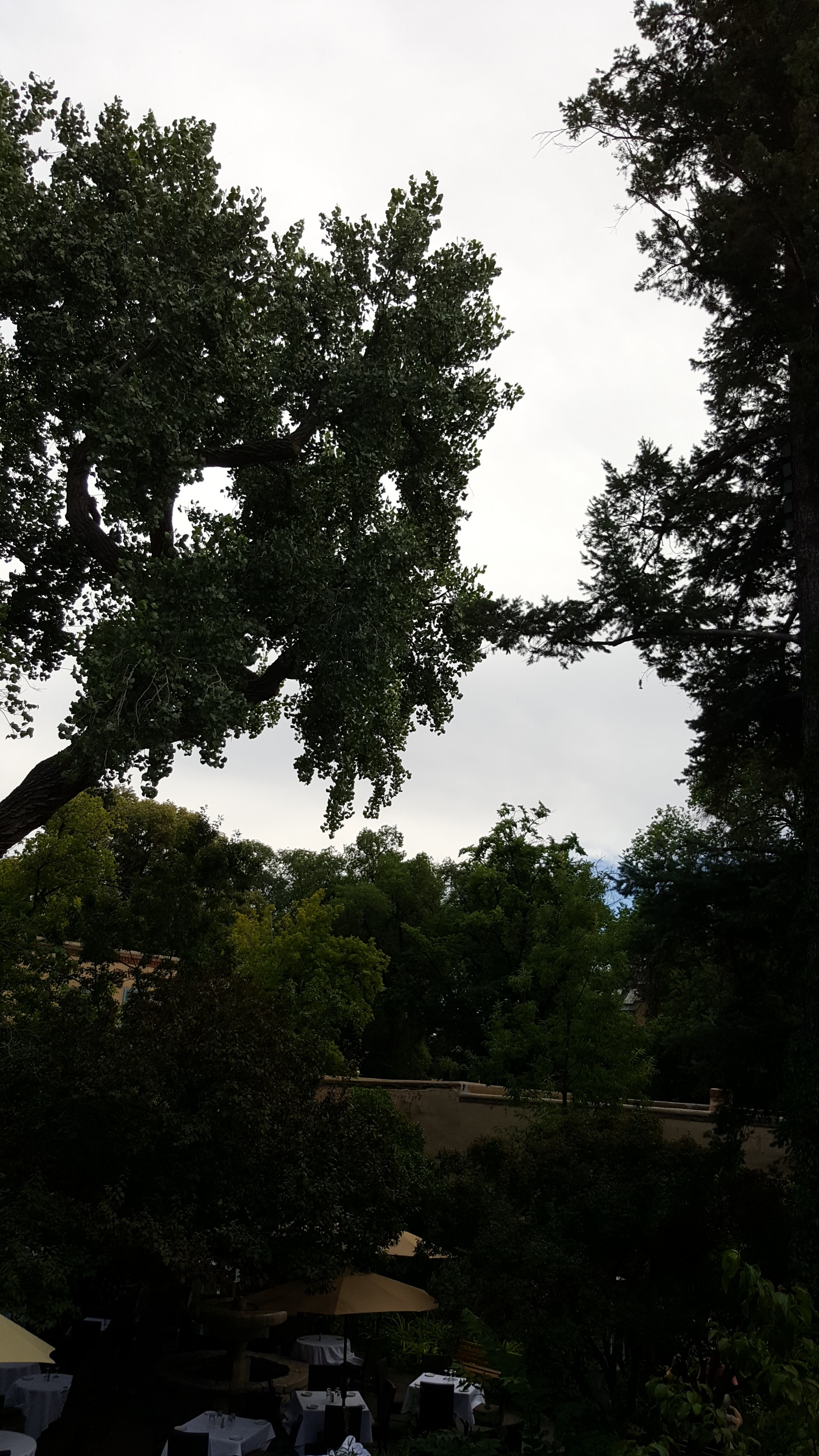20160815_160823.jpg