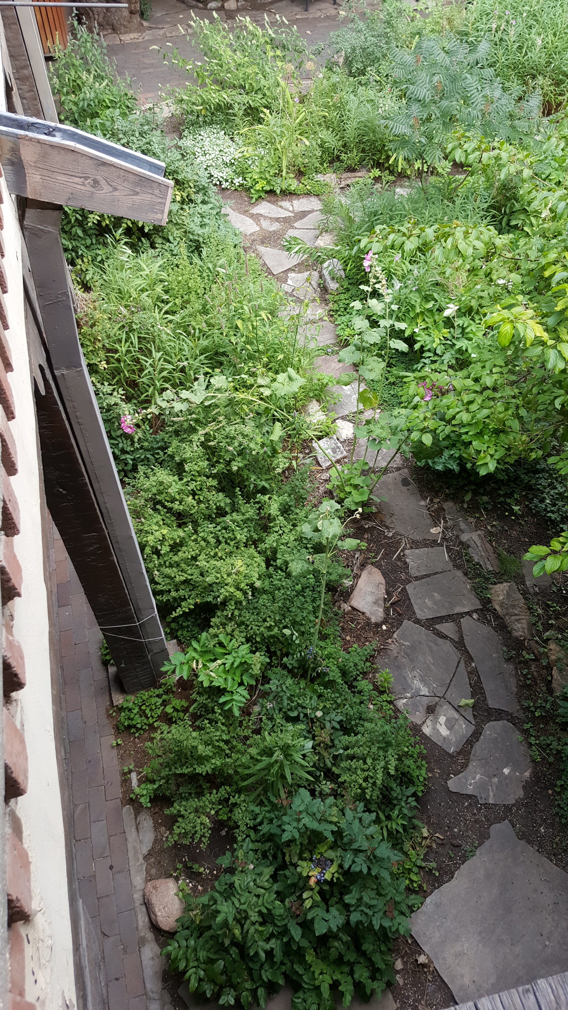 20160815_160814.jpg