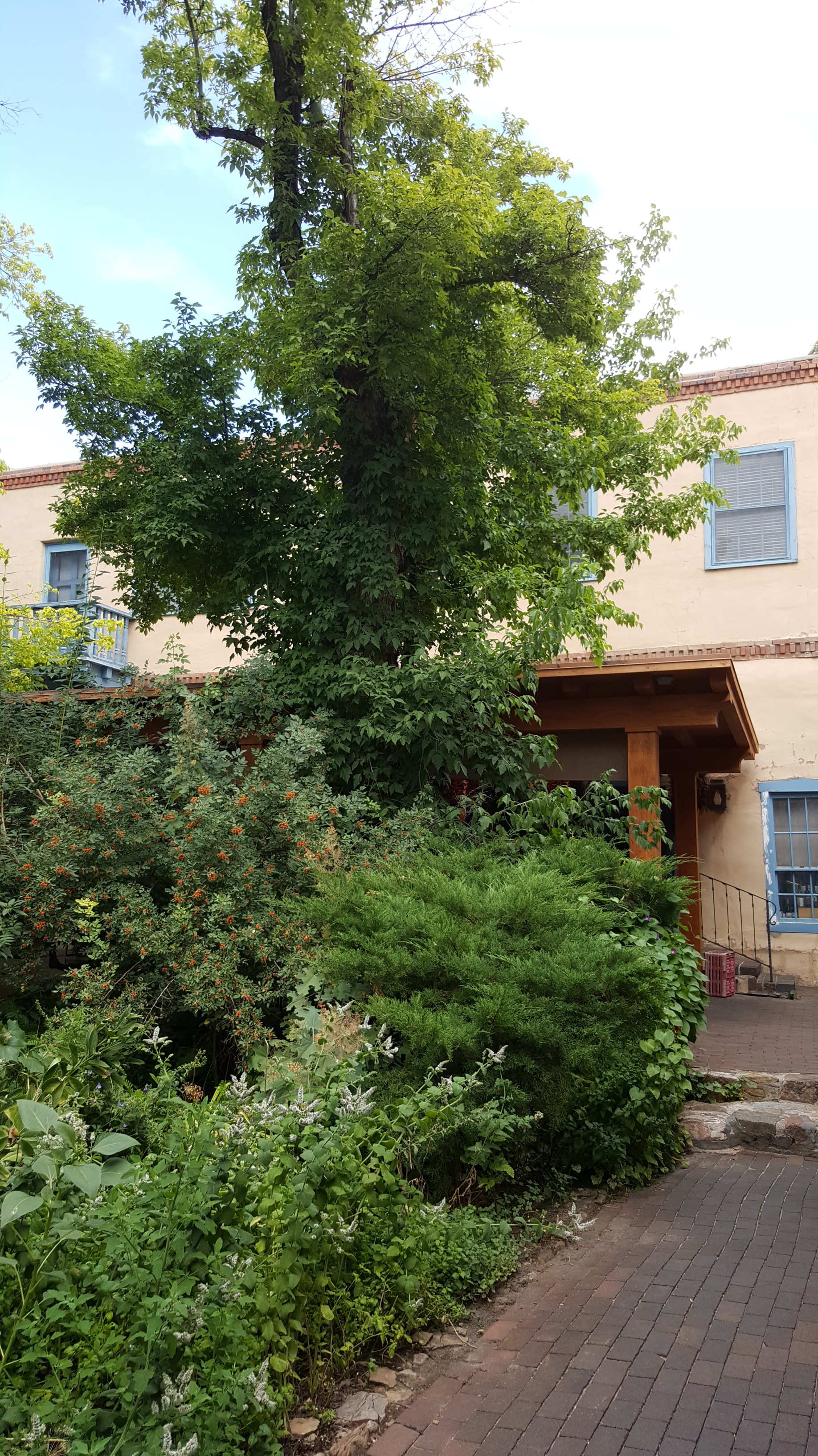 20160815_161043.jpg