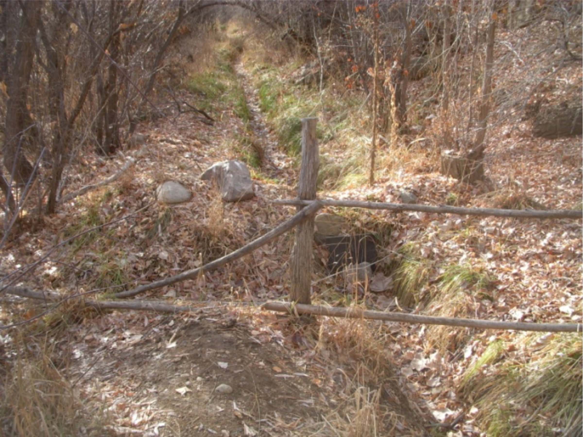 The fence between Armijo Park and the property at 1400A Cerro Gordo. The board controls flow into the acequia, which continues into the private property, or into the ditch on the left which shunts the water back into the river.   photo by the Debora