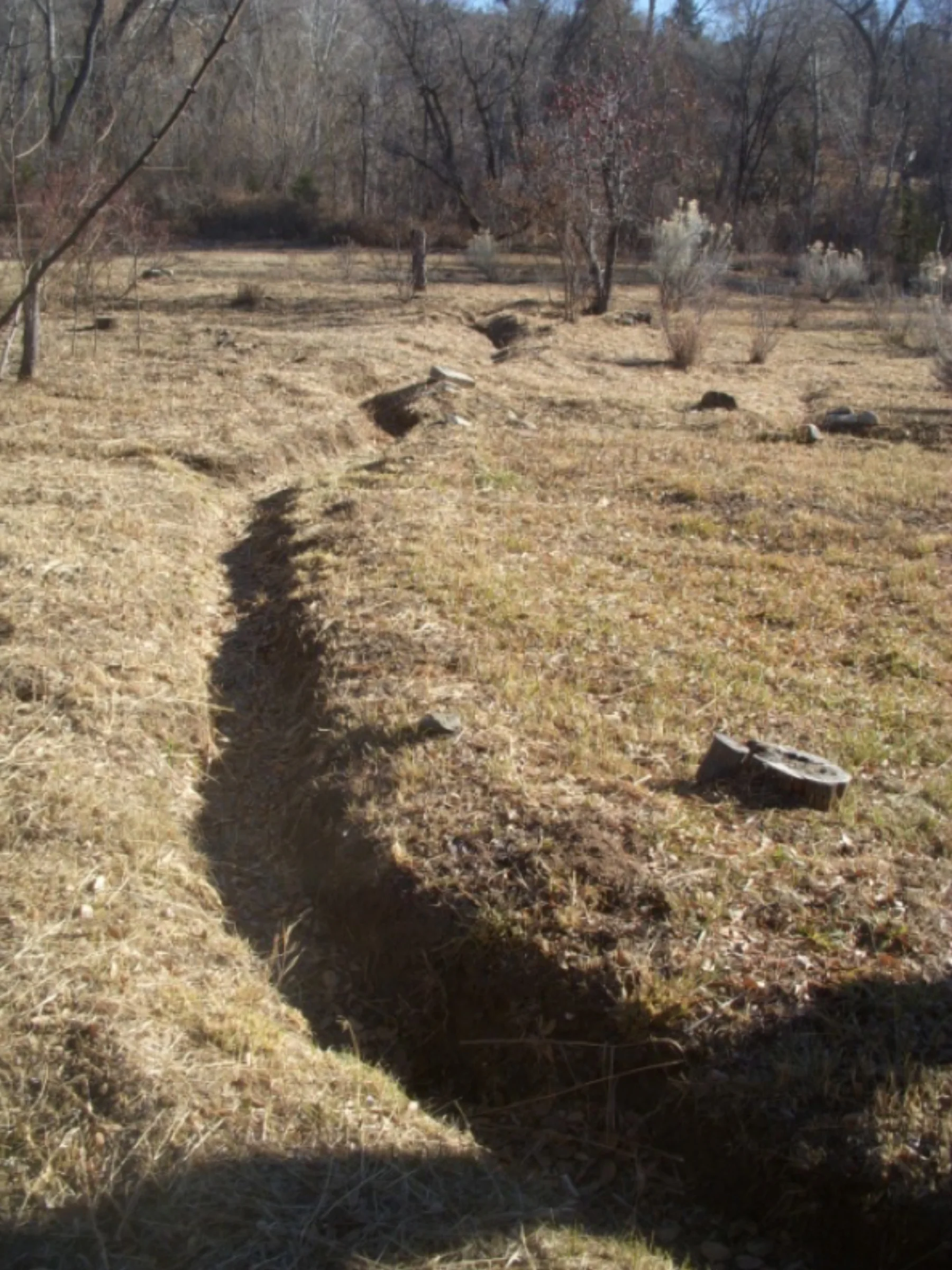 The lateral running into the field at 9 Camino Pequeño. photo by the Deborah and Jon Lawrence