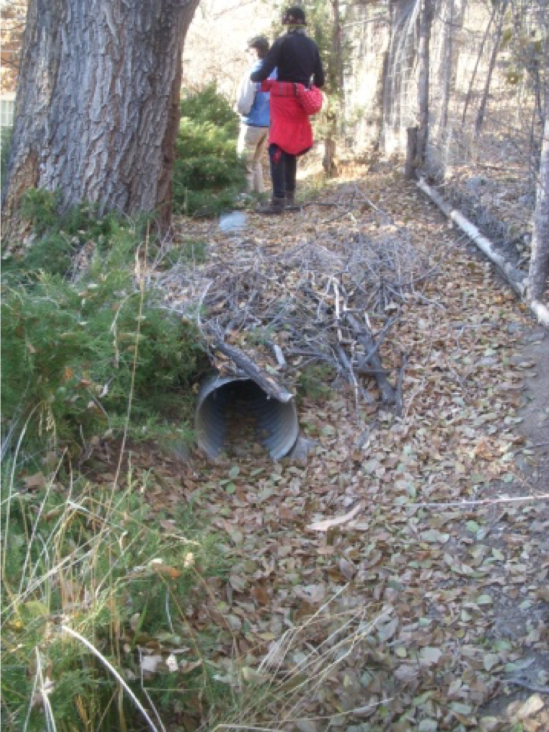 A culvert in the acequia. photo by the Deborah and Jon Lawrence