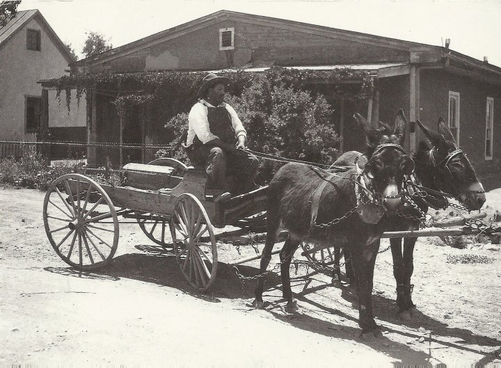 (27) 1941 Augustine Torre copy.jpg