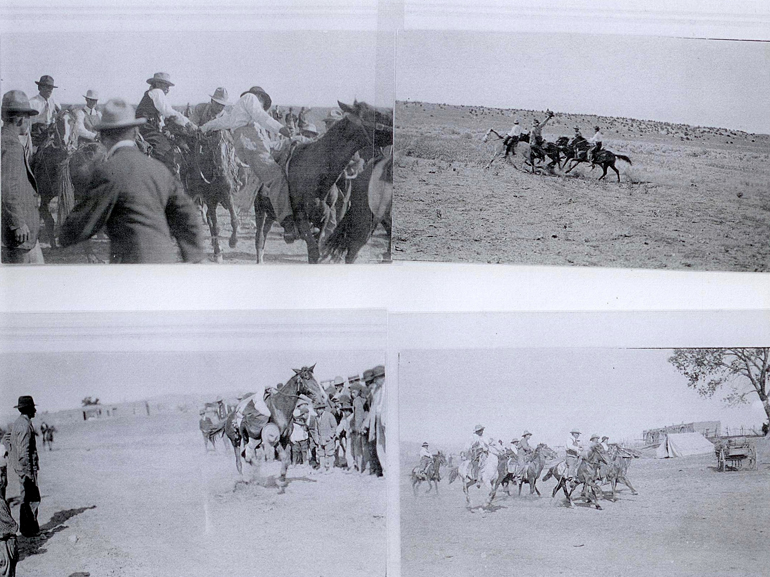 (12) Rooster Pull in Agua copy.jpg