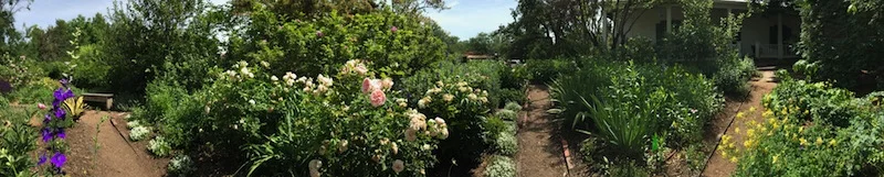 El Zaguán Garden, June 6, 2018