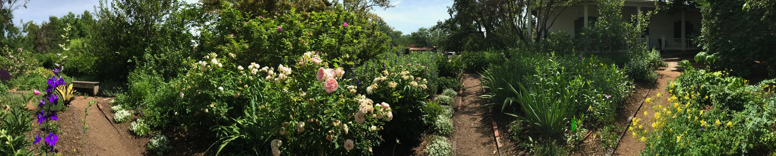 GardenPanoramaJune2018.jpg