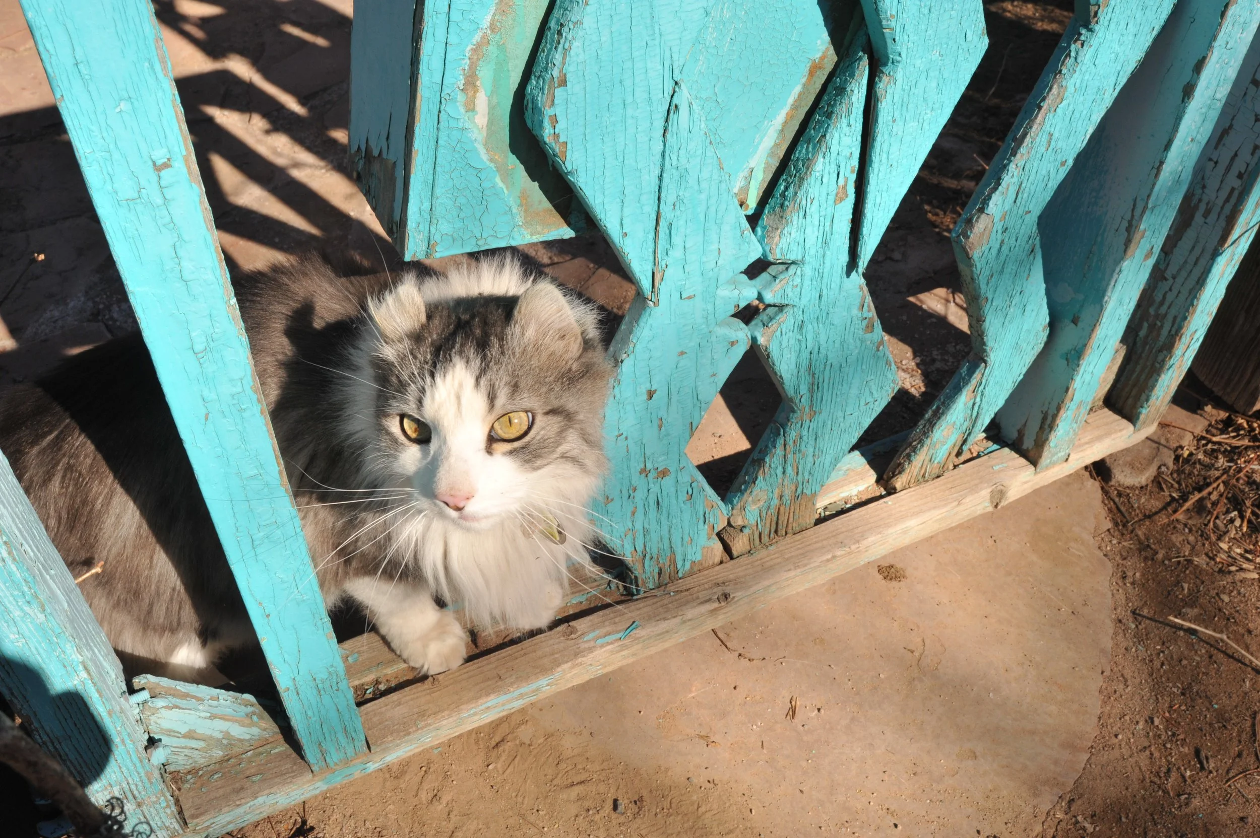 DSC_8861.JPG