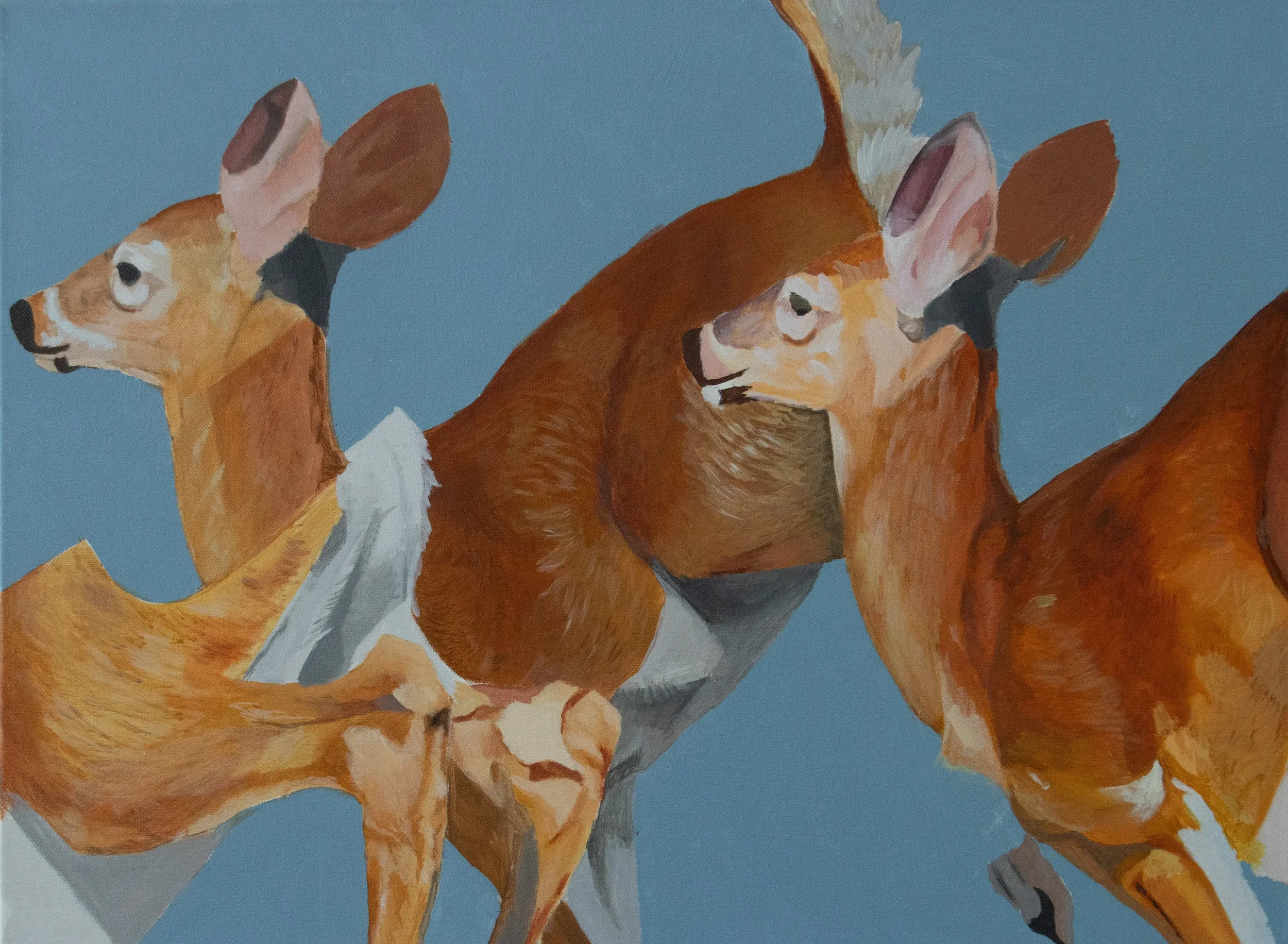 George (Ofuskie) Alexander: A solo exhibition