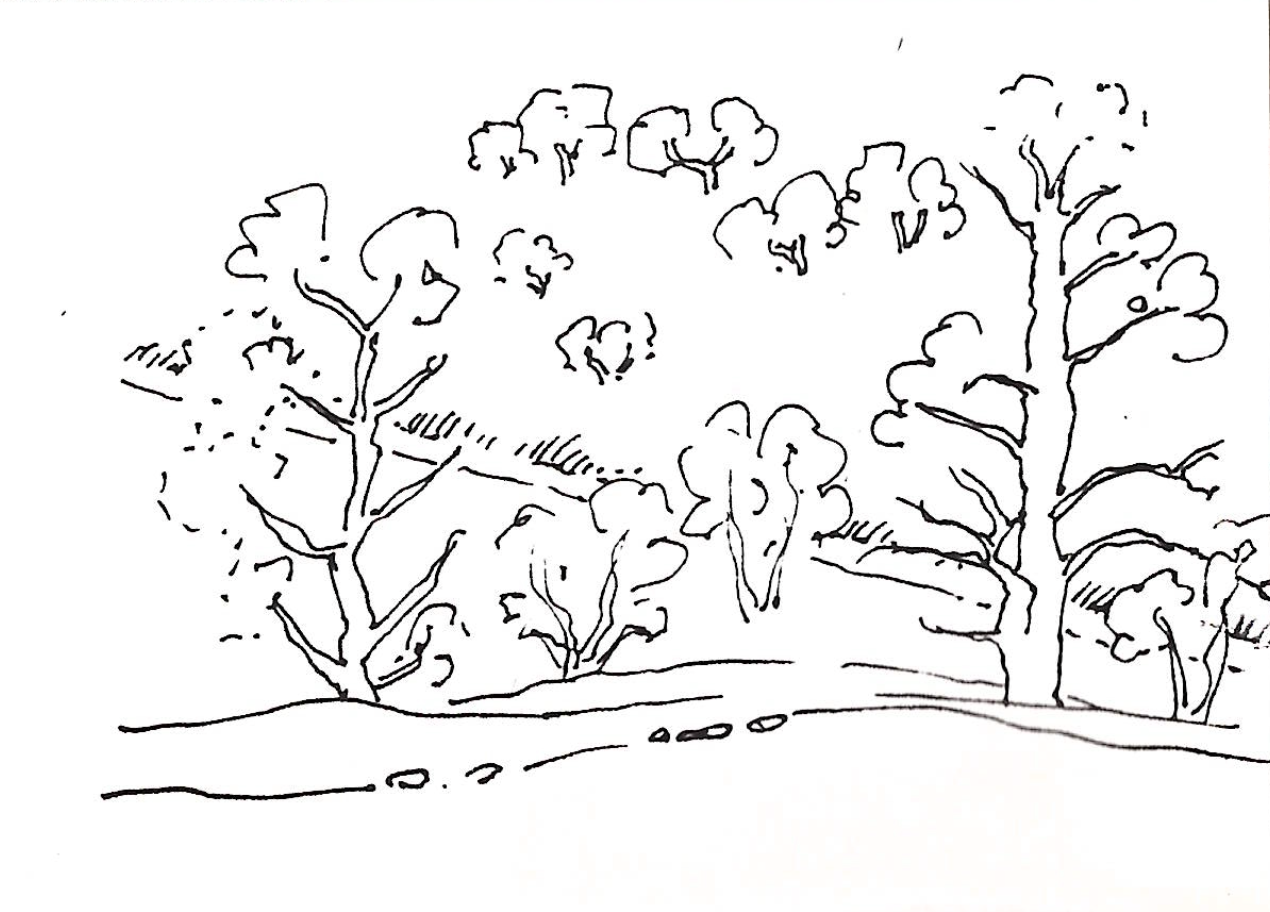 Irene von Horvath sketches - Dorothy Stewart Trail 2026-03-19 at 11.17.17 AM.png