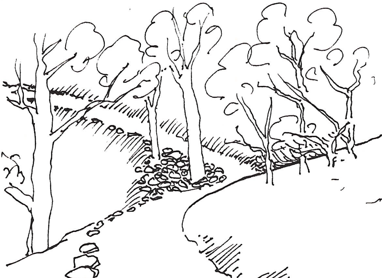 Irene von Horvath sketches - Dorothy Stewart Trail 2026-03-19 at 11.17.45 AM.png