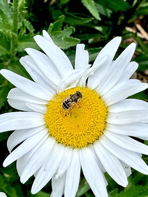 HC2022_EZ+garden_05.webp