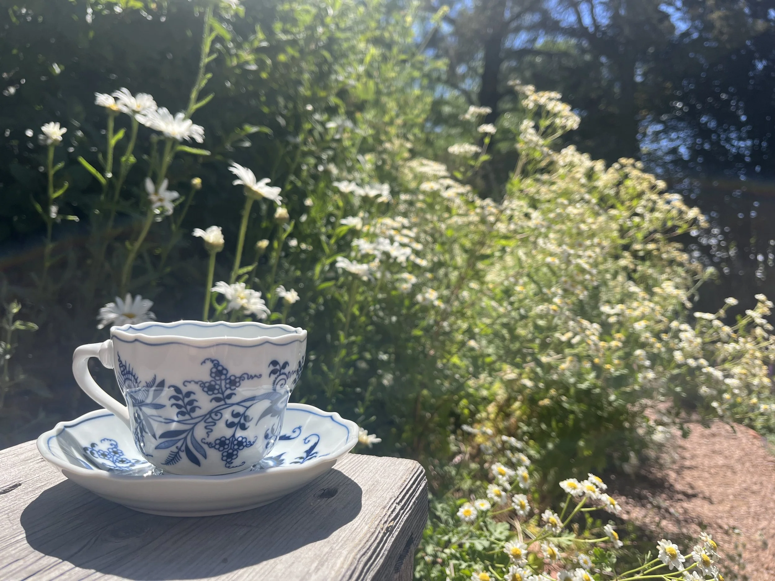 Tour and Tea in the Garden