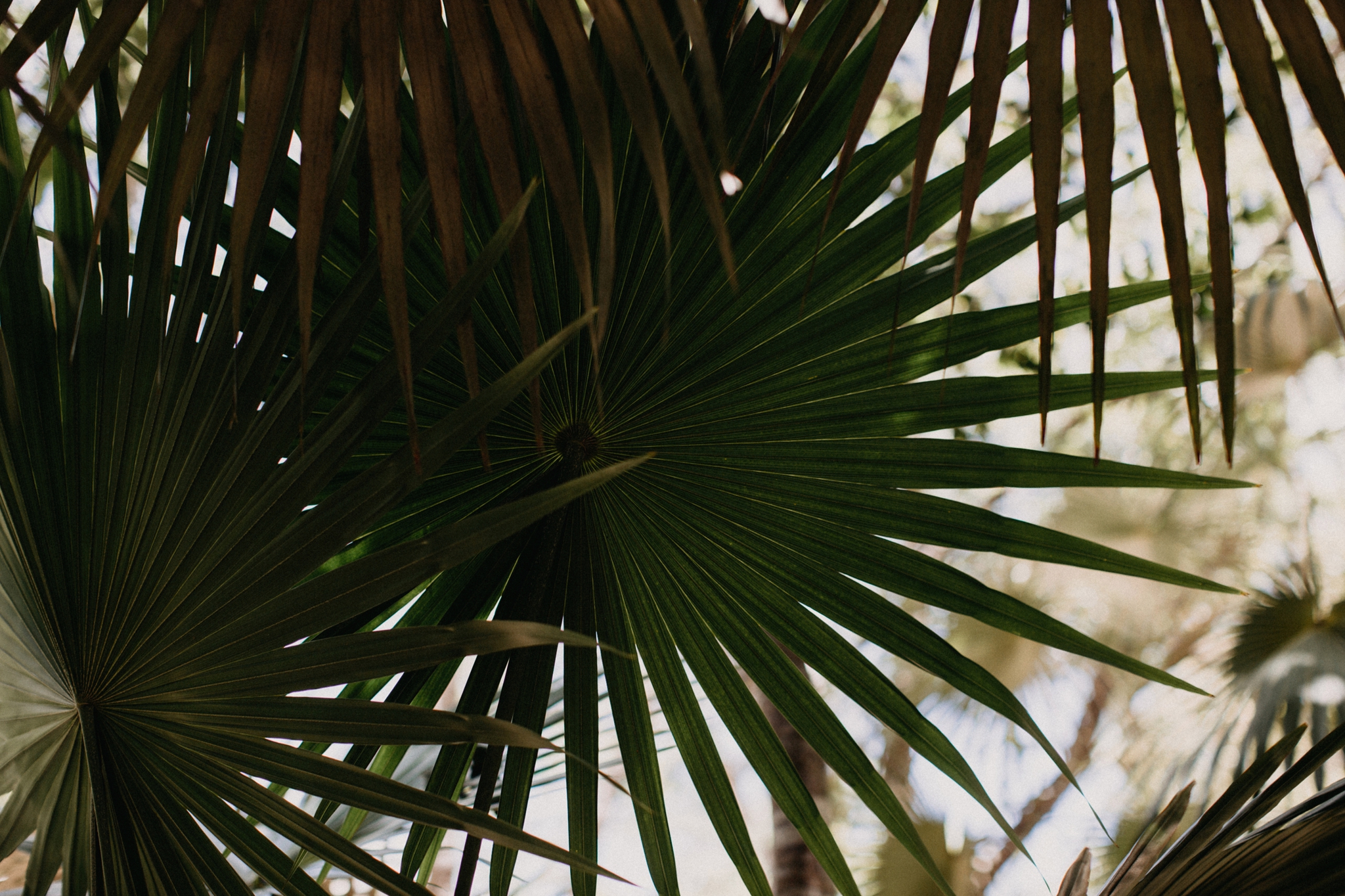Tulum 7.jpg