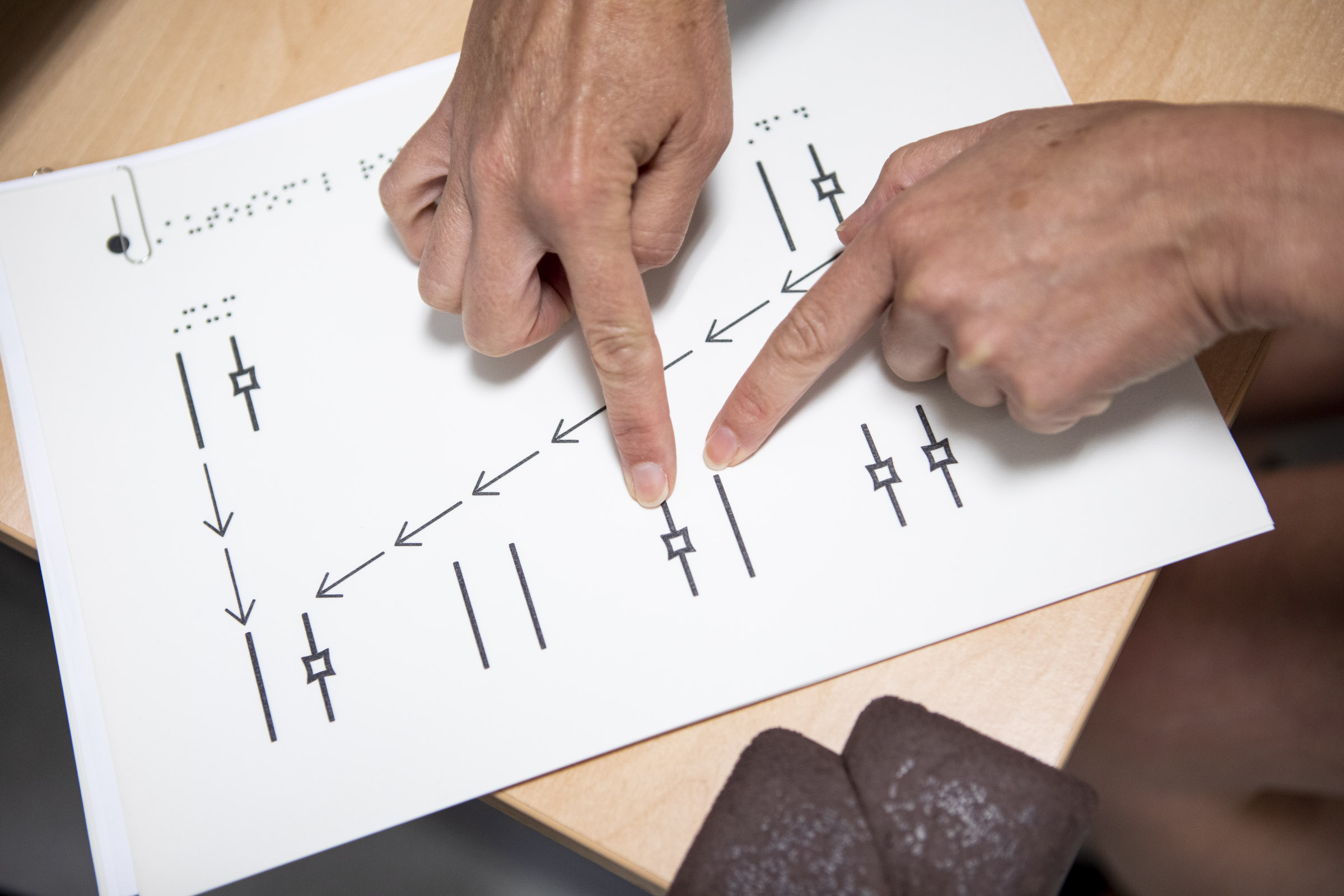  Close-up of inheritance diagram that is raised and accompanied by braille for visually impaired patients.  