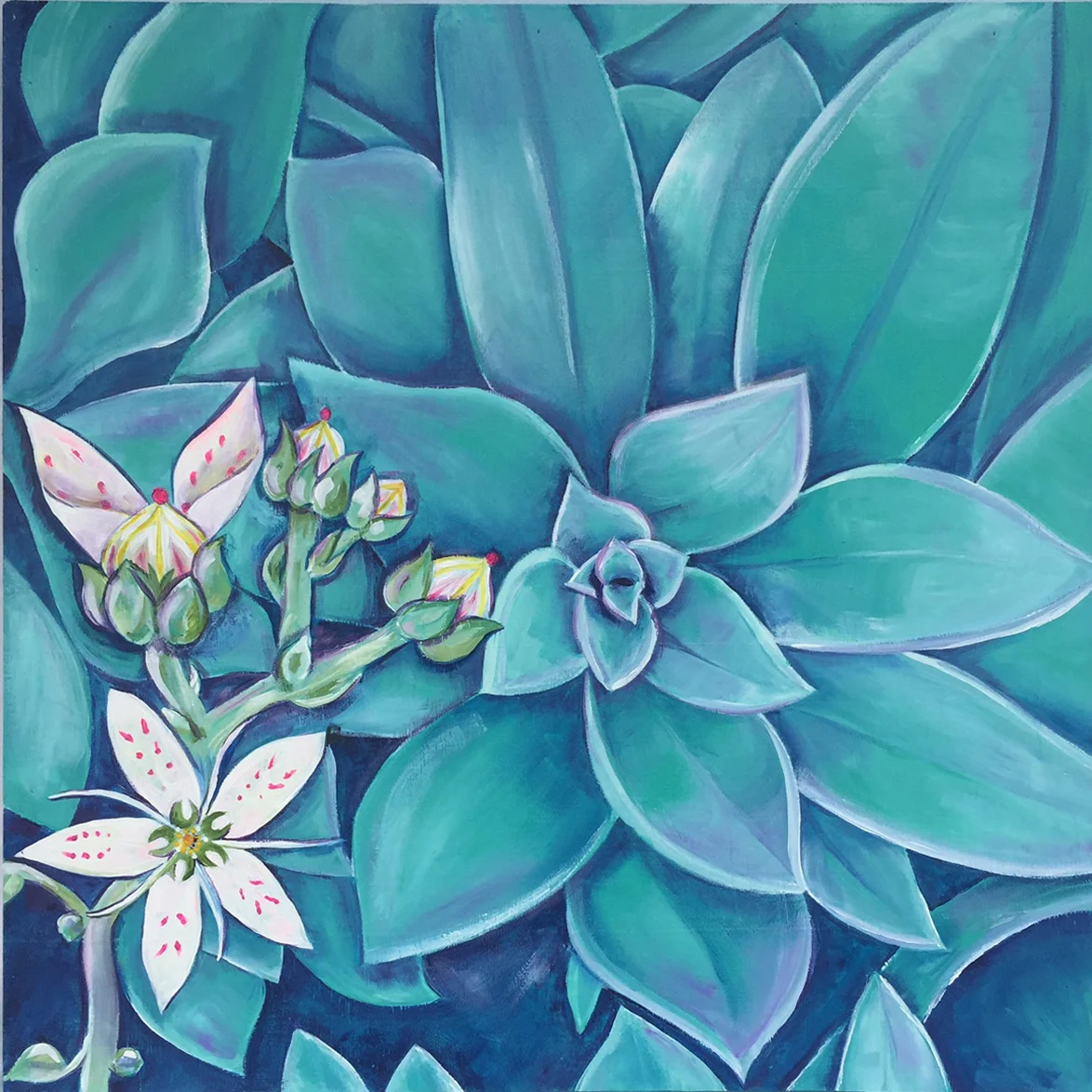 Succulent