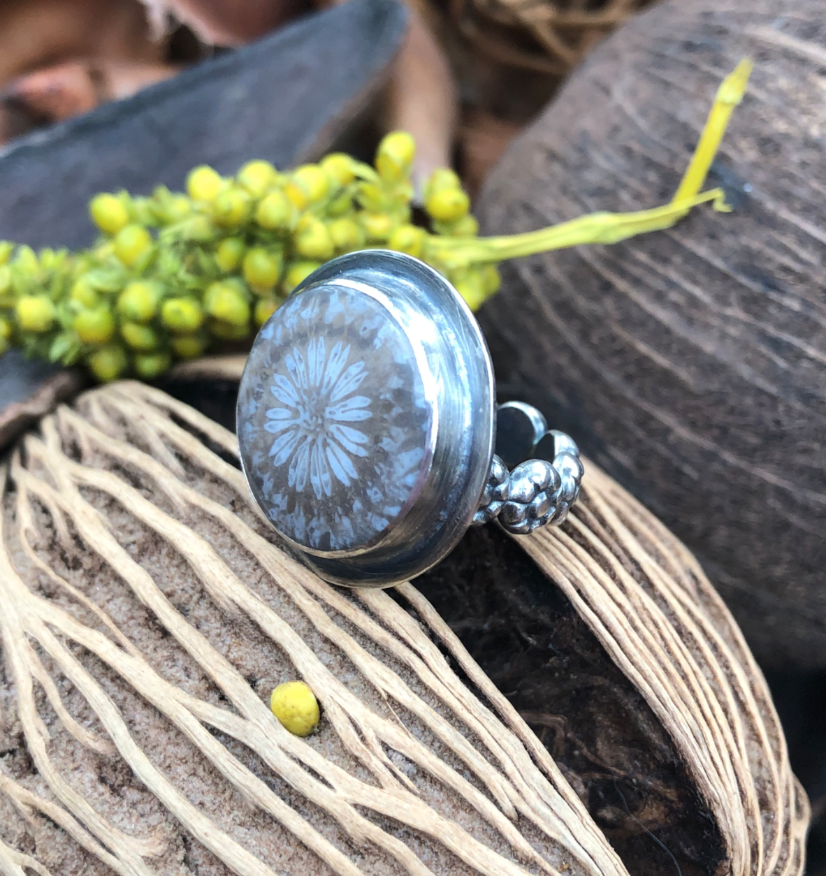 fossilized coral ring