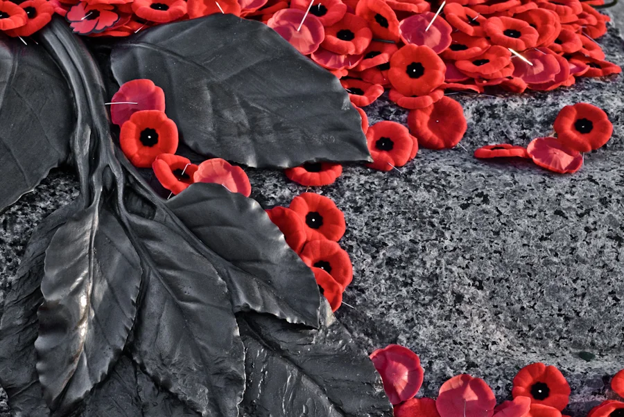 Remembrance-Day-Images.jpg