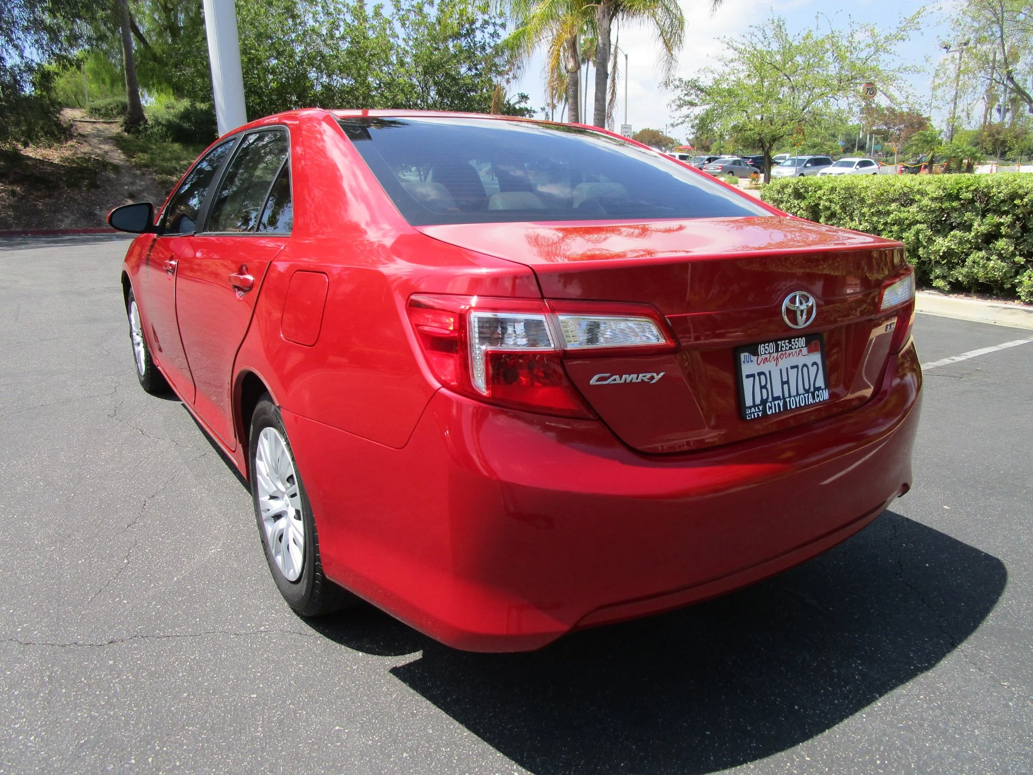 005.JPG