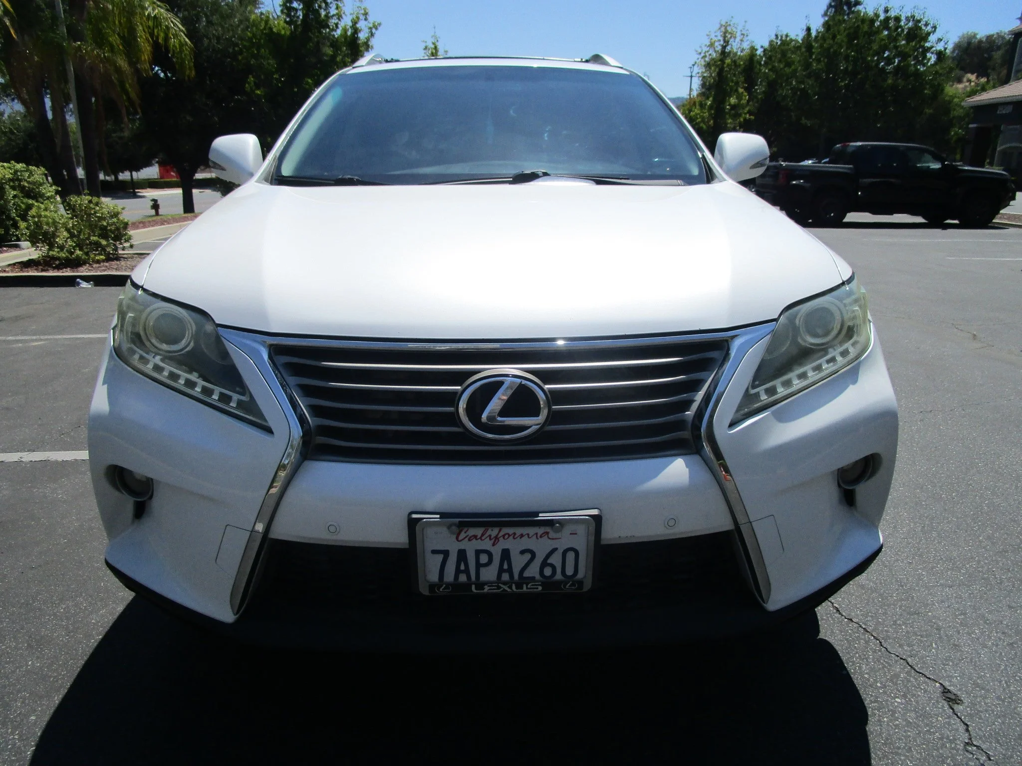 003.JPG