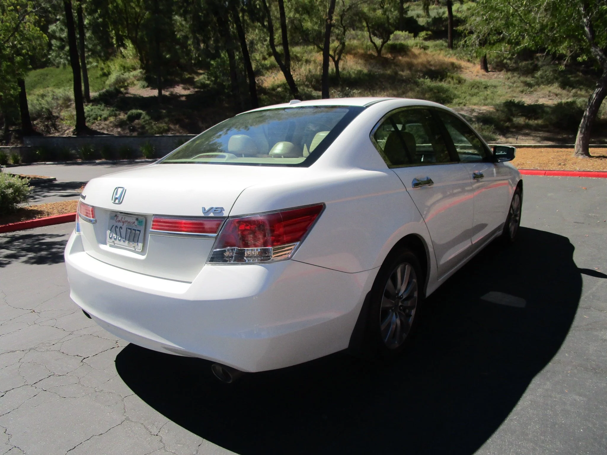007.JPG