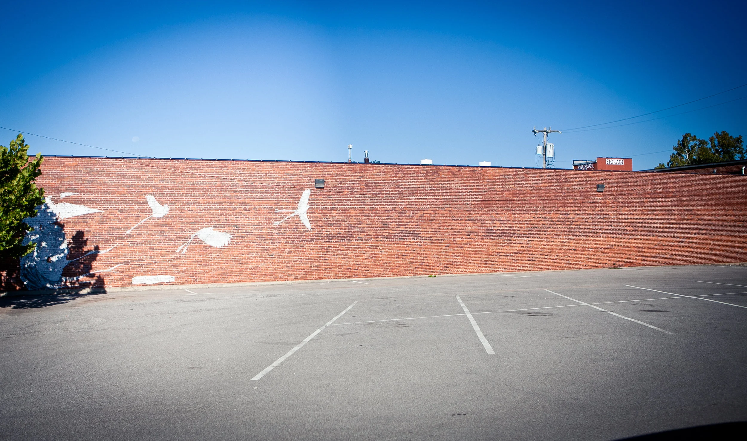 IMG_9815.jpg