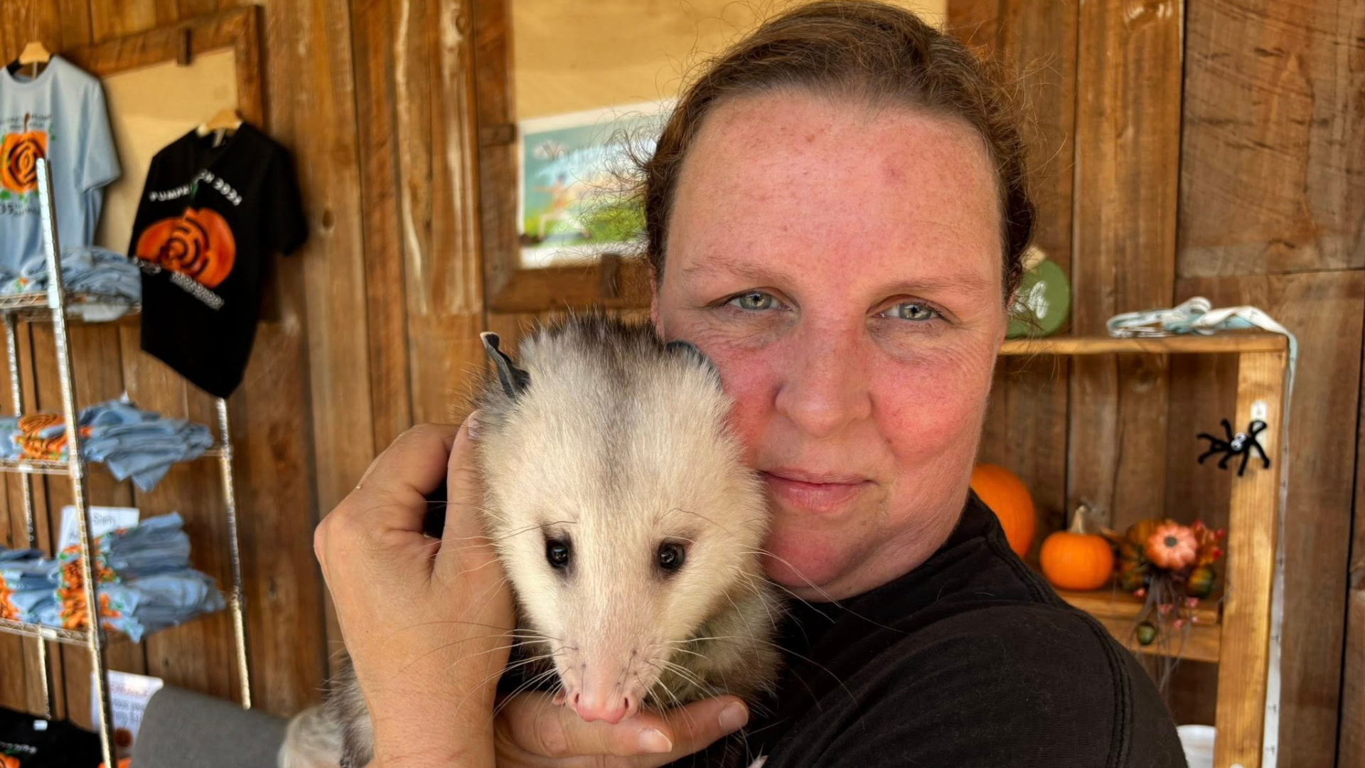 website pics landing page March 26 (3).png