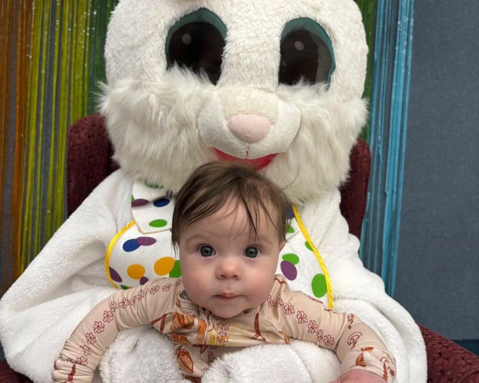 2026+bunny.jpg