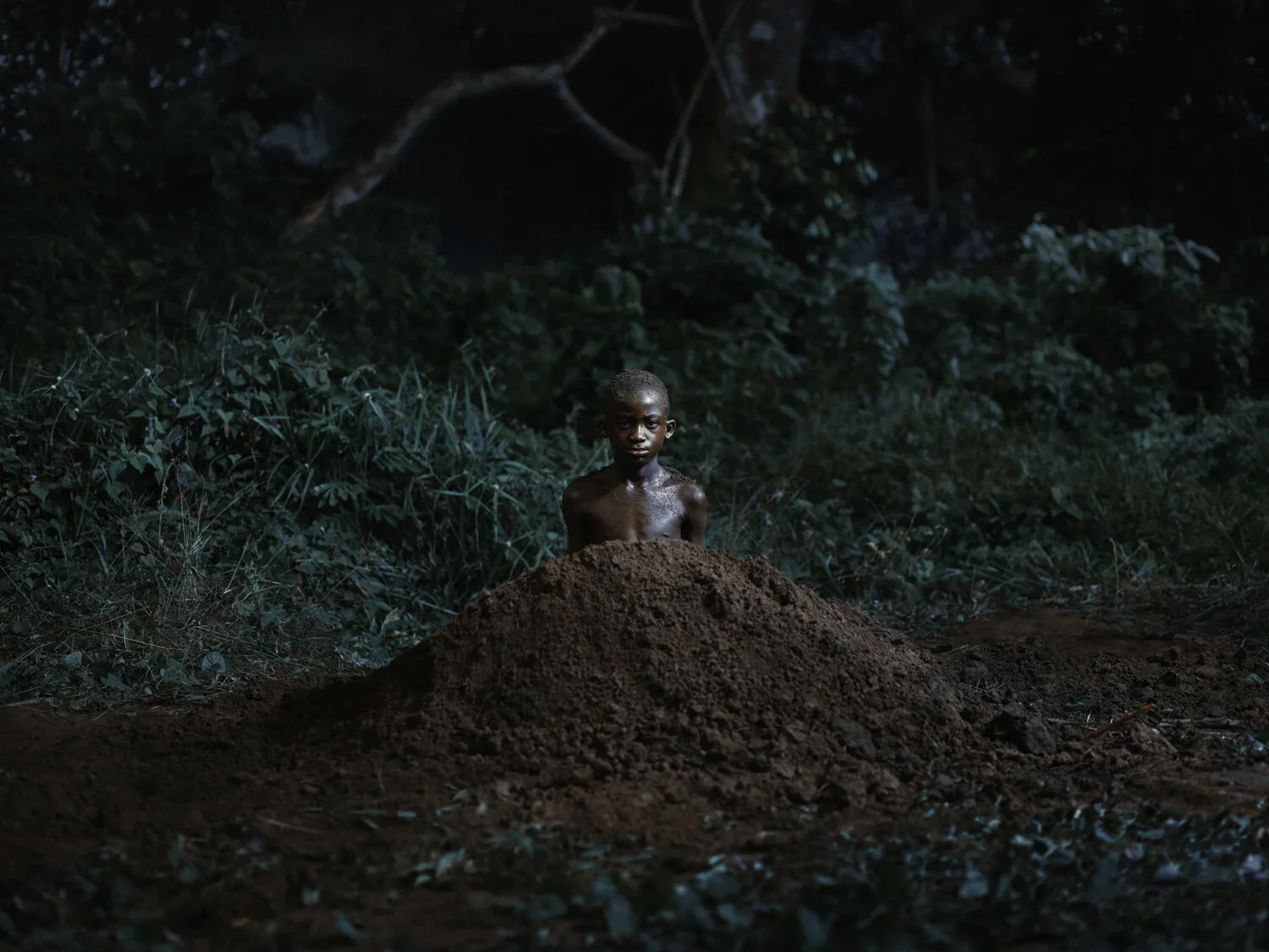 The+Mole-Congo+Tales-Pieter+Henket.webp