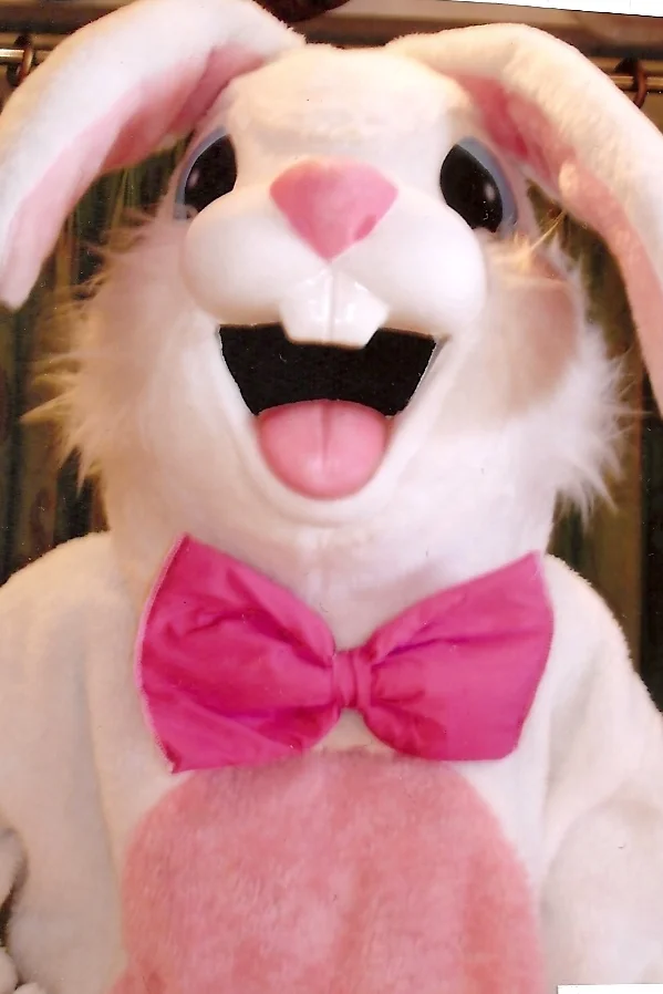 Bunny #1.jpg