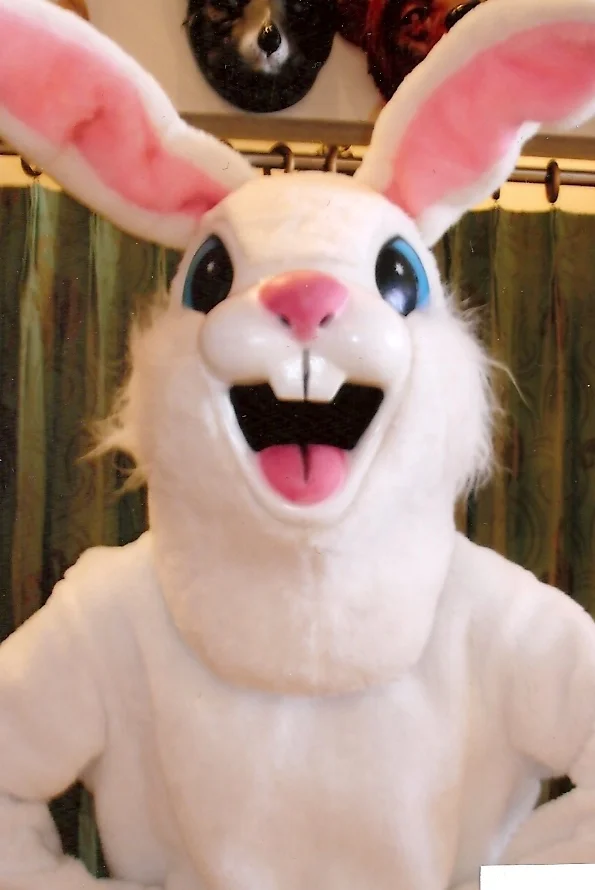 Bunny #20.jpg