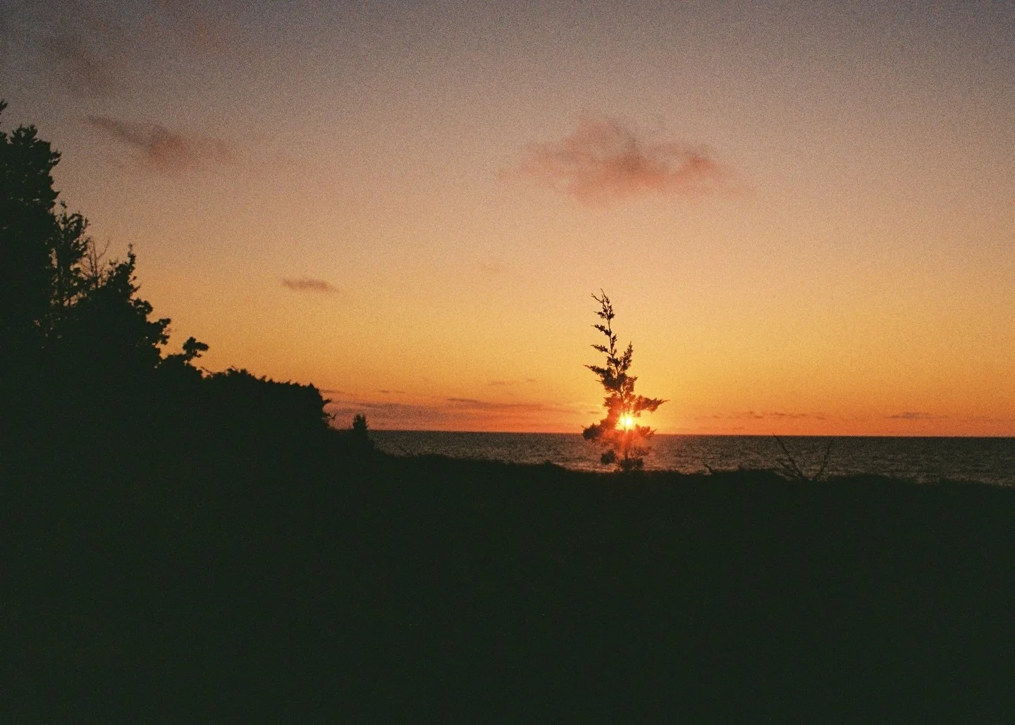 late summer in Pinery

RICOH KR-5 SUPER - Kodak GOLD 200

Scan and dev @mementofilmlab