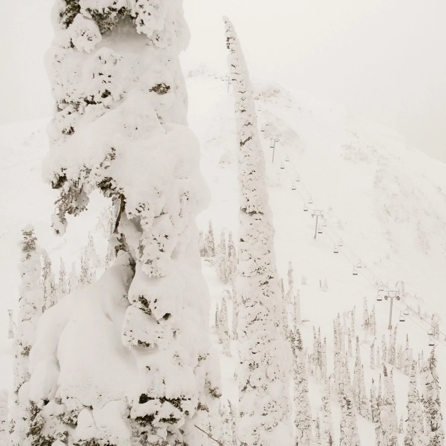 Stoked to be headed west for another week of this. A few fav snaps from last year.