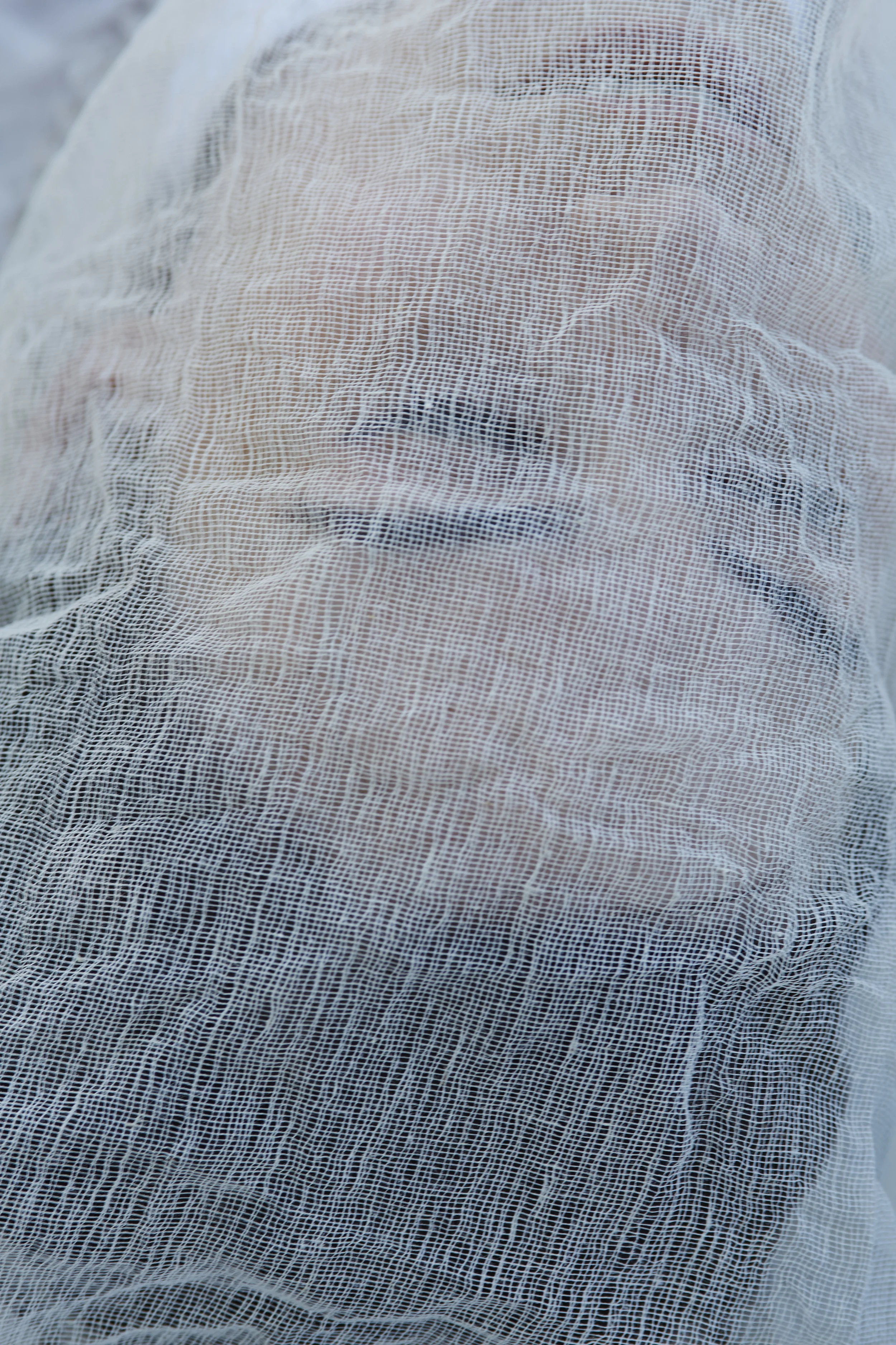 Kaylin_Abadiania_0124 1.jpg