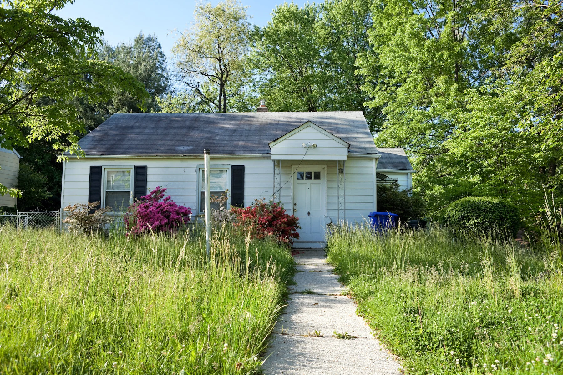 XXXL Front View Abandoned Foreclosed Cape Cod Home Long Grass
